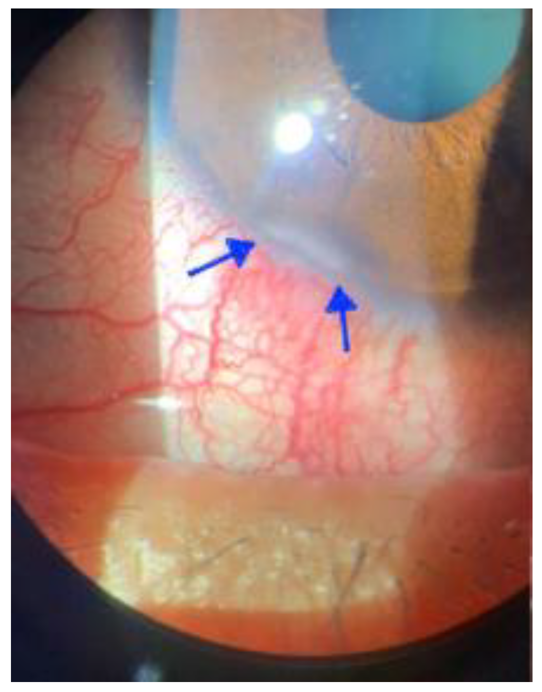 Viruses 15 00616 g002