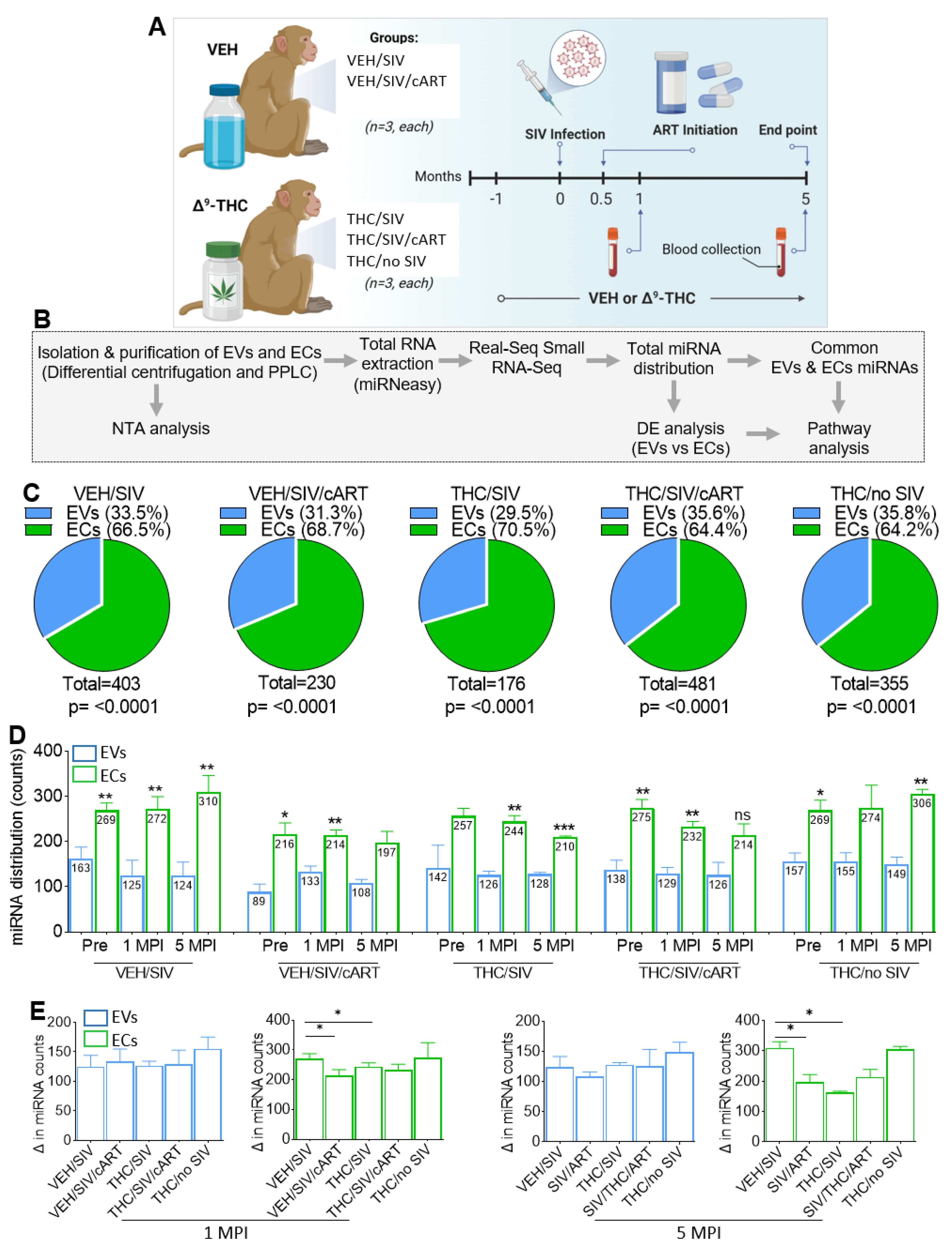 Viruses 15 00623 g001 Viruses 15 00623 g001