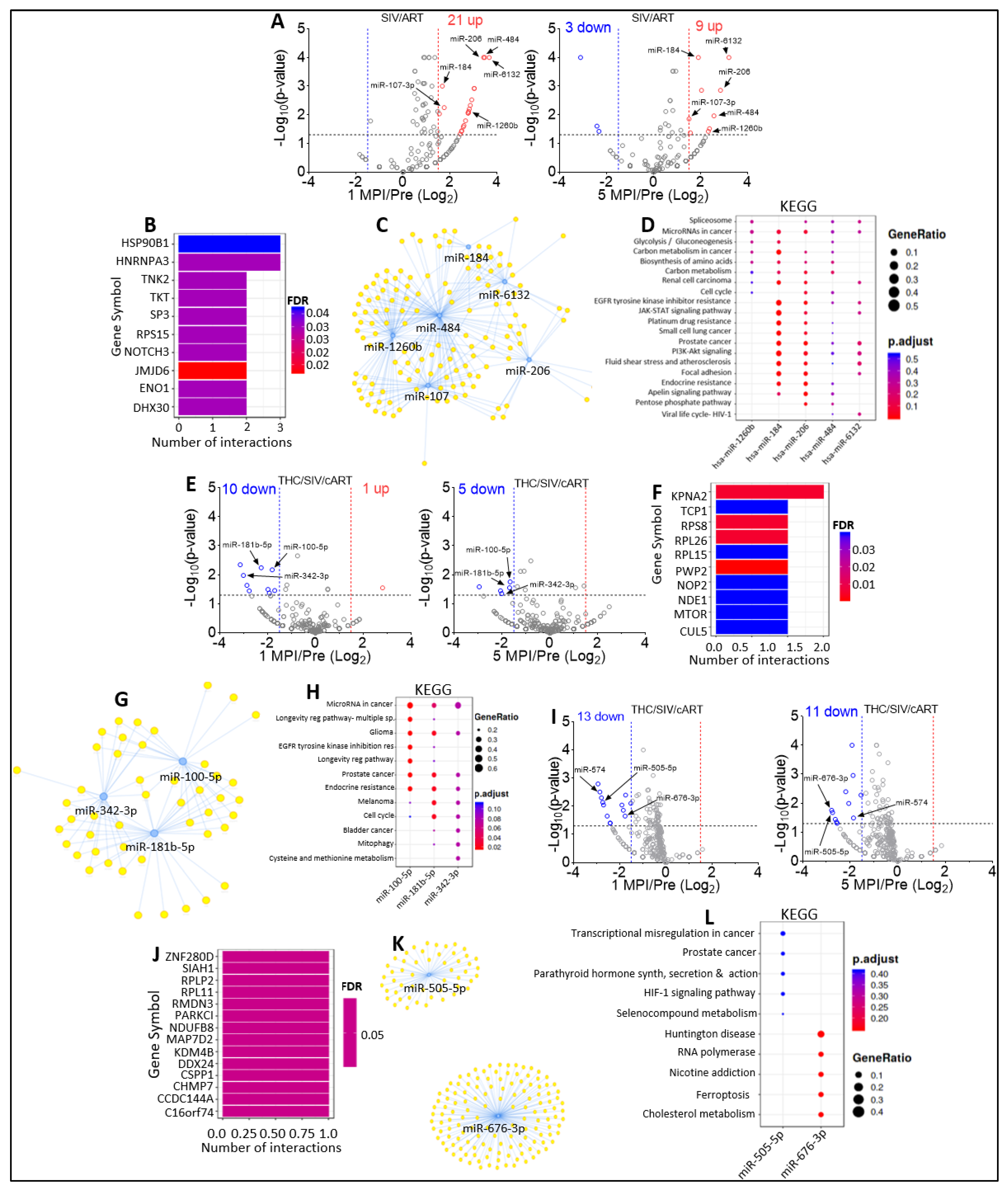 Viruses 15 00623 g007 Viruses 15 00623 g007