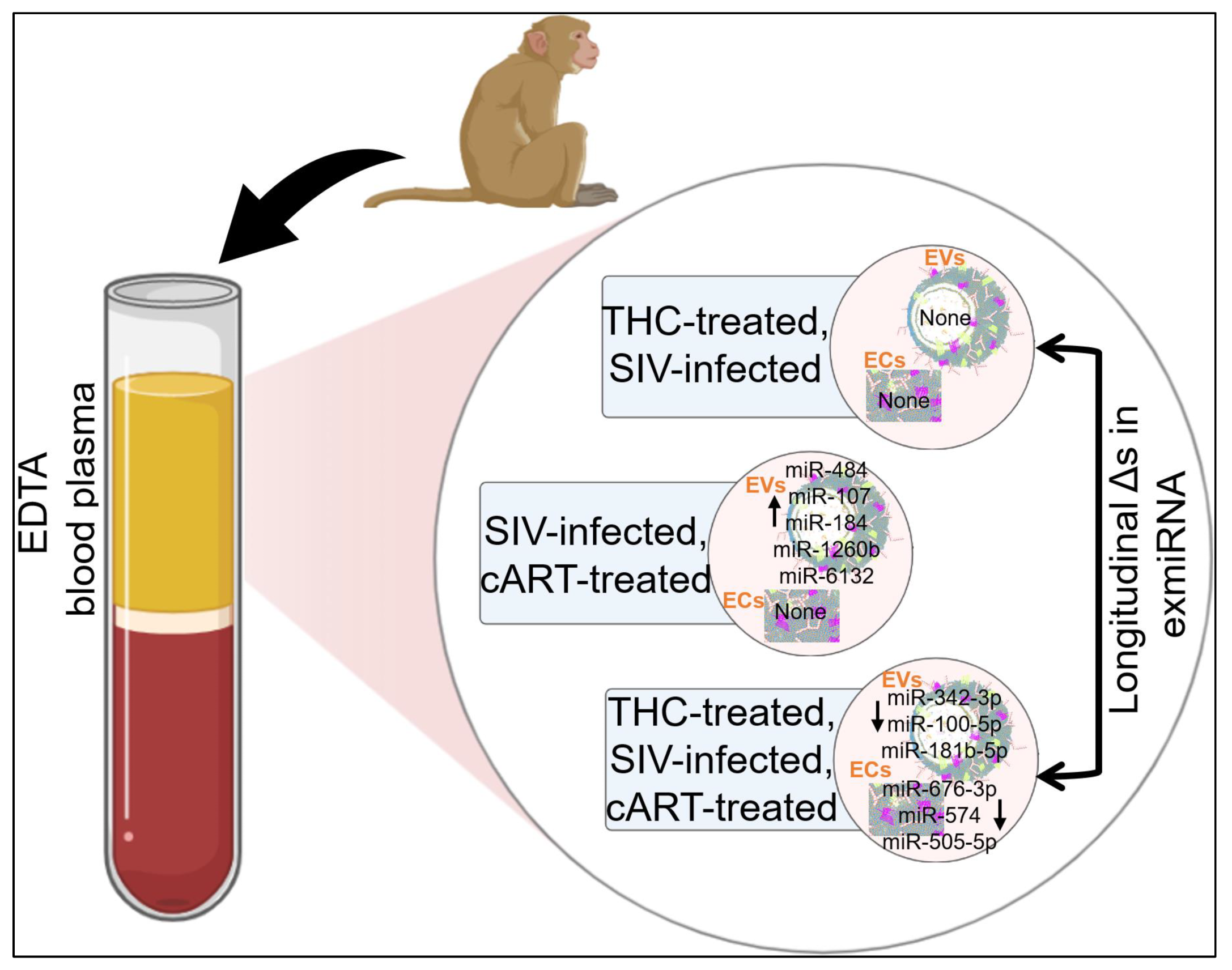 Viruses 15 00623 g008 Viruses 15 00623 g008