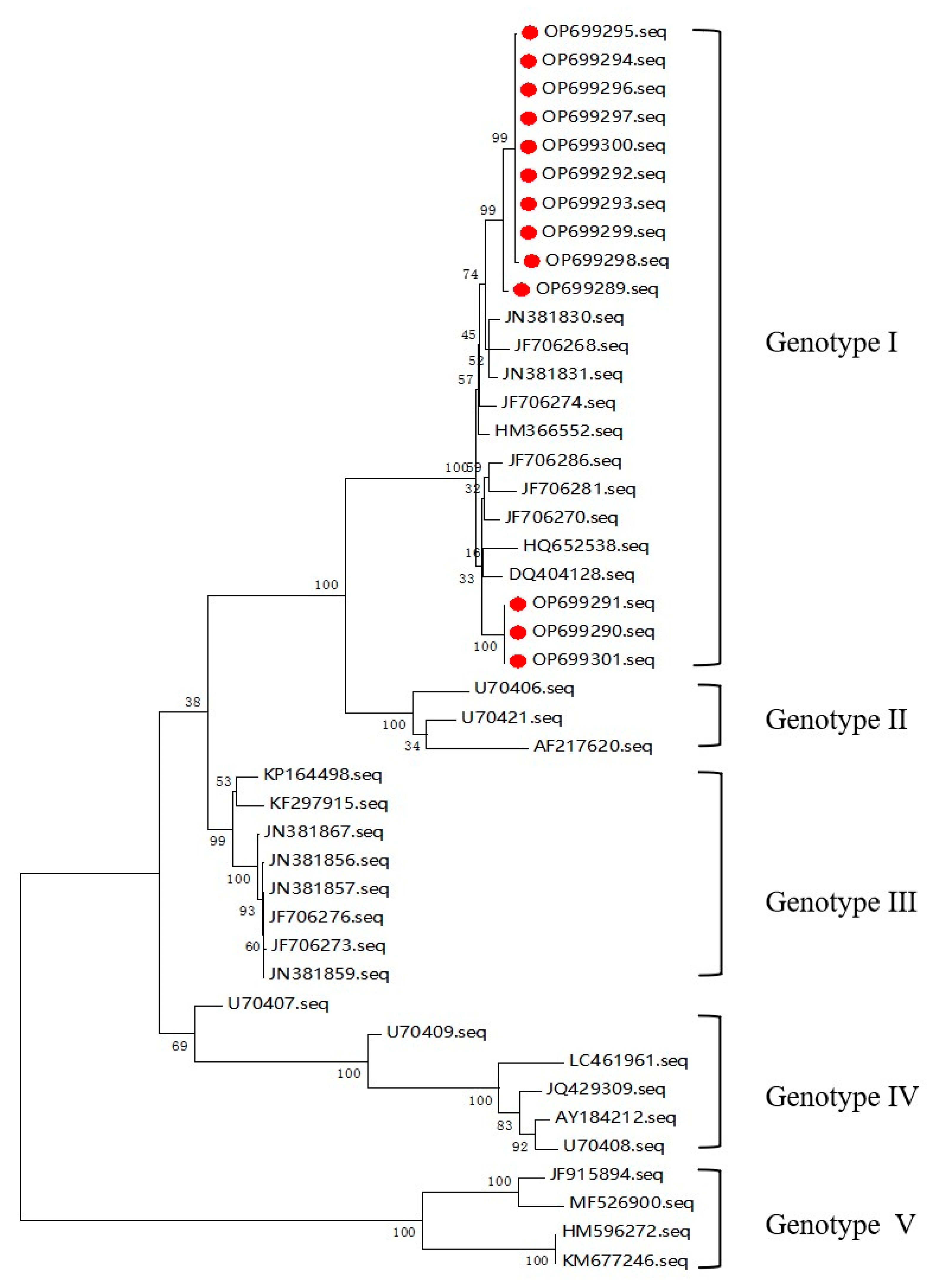 Viruses 15 00625 g002 Viruses 15 00625 g002