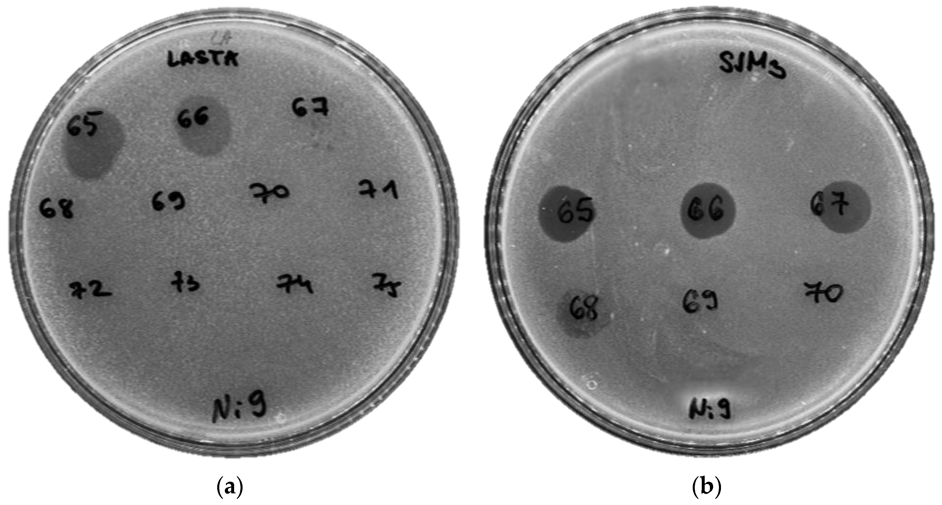 Viruses 15 00628 g006