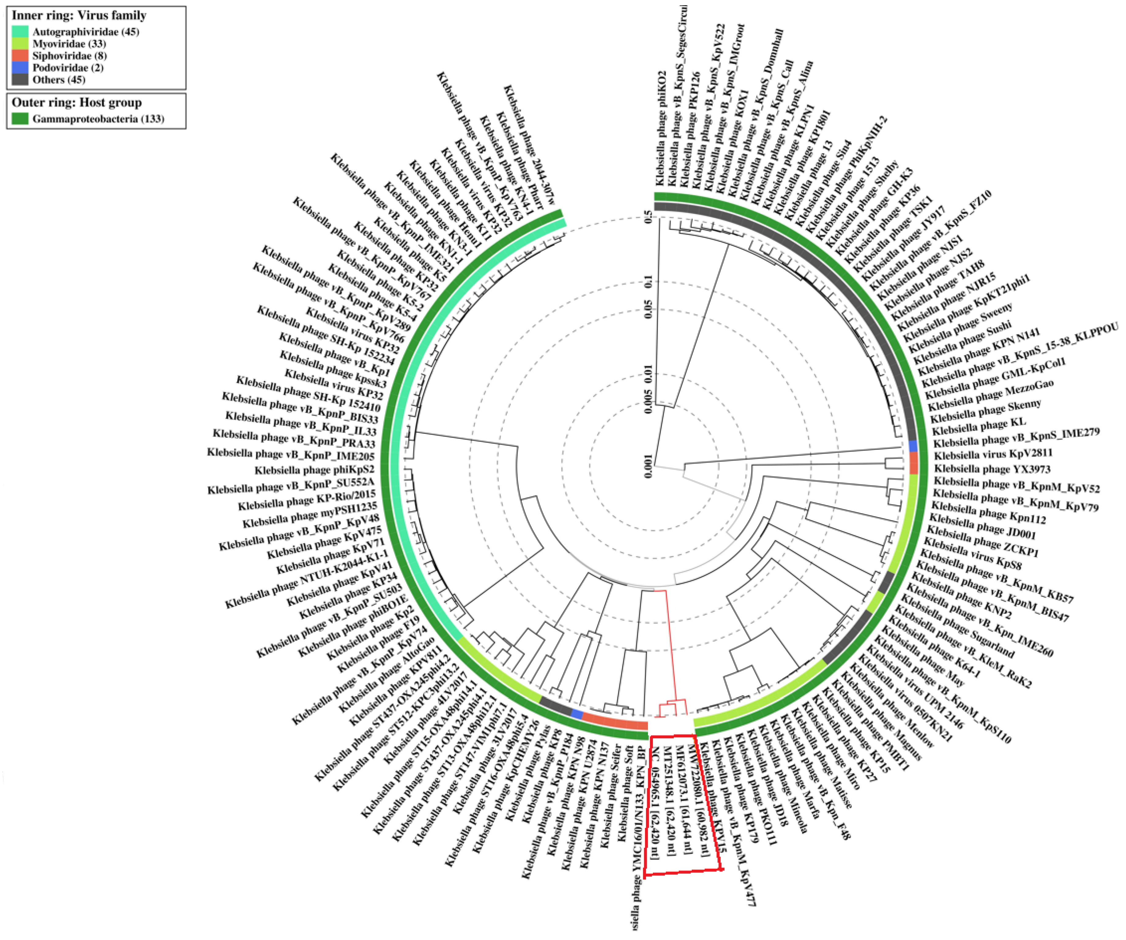 Viruses 15 00628 g012