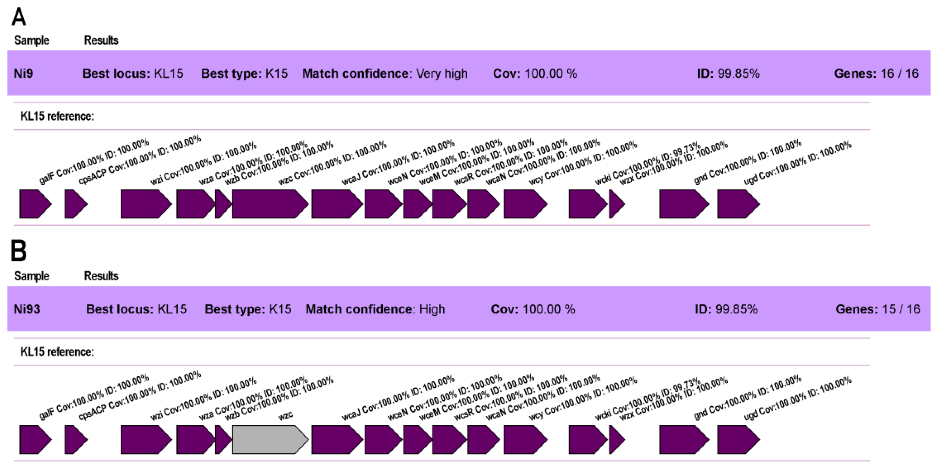 Viruses 15 00628 g013