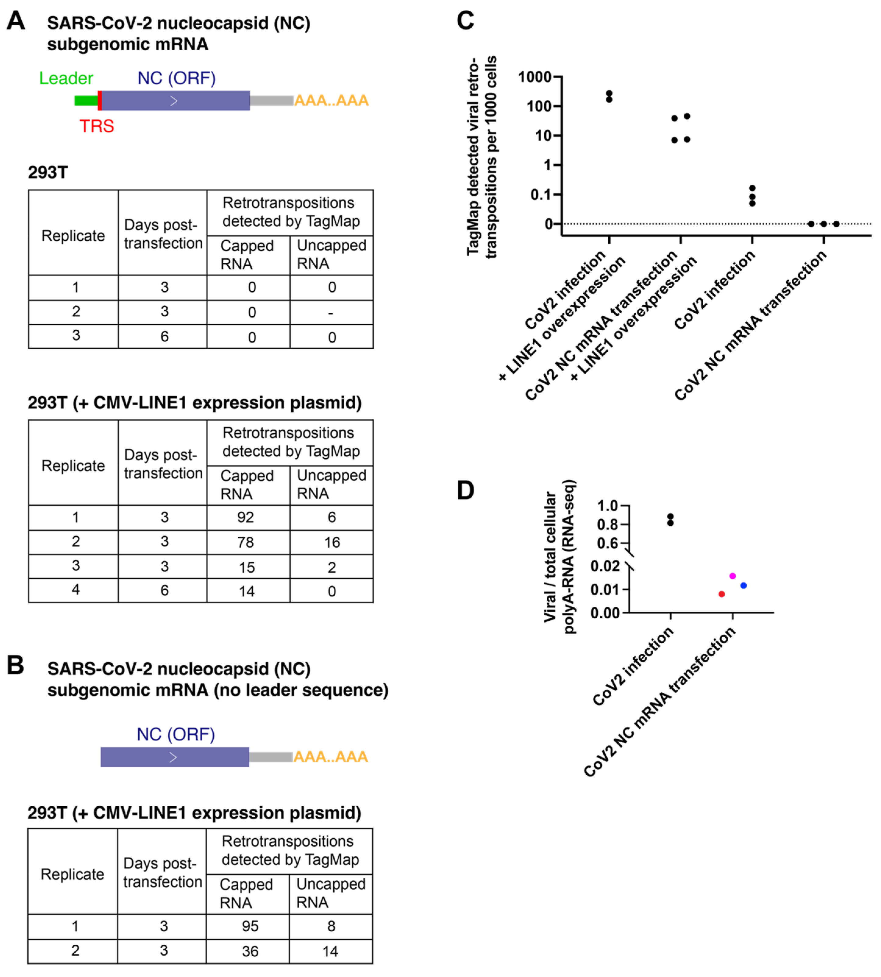 Viruses 15 00629 g002 Viruses 15 00629 g002