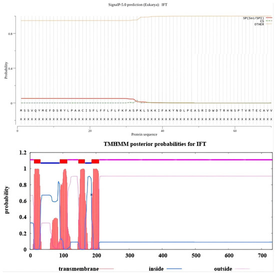 Viruses 15 00631 g0a2