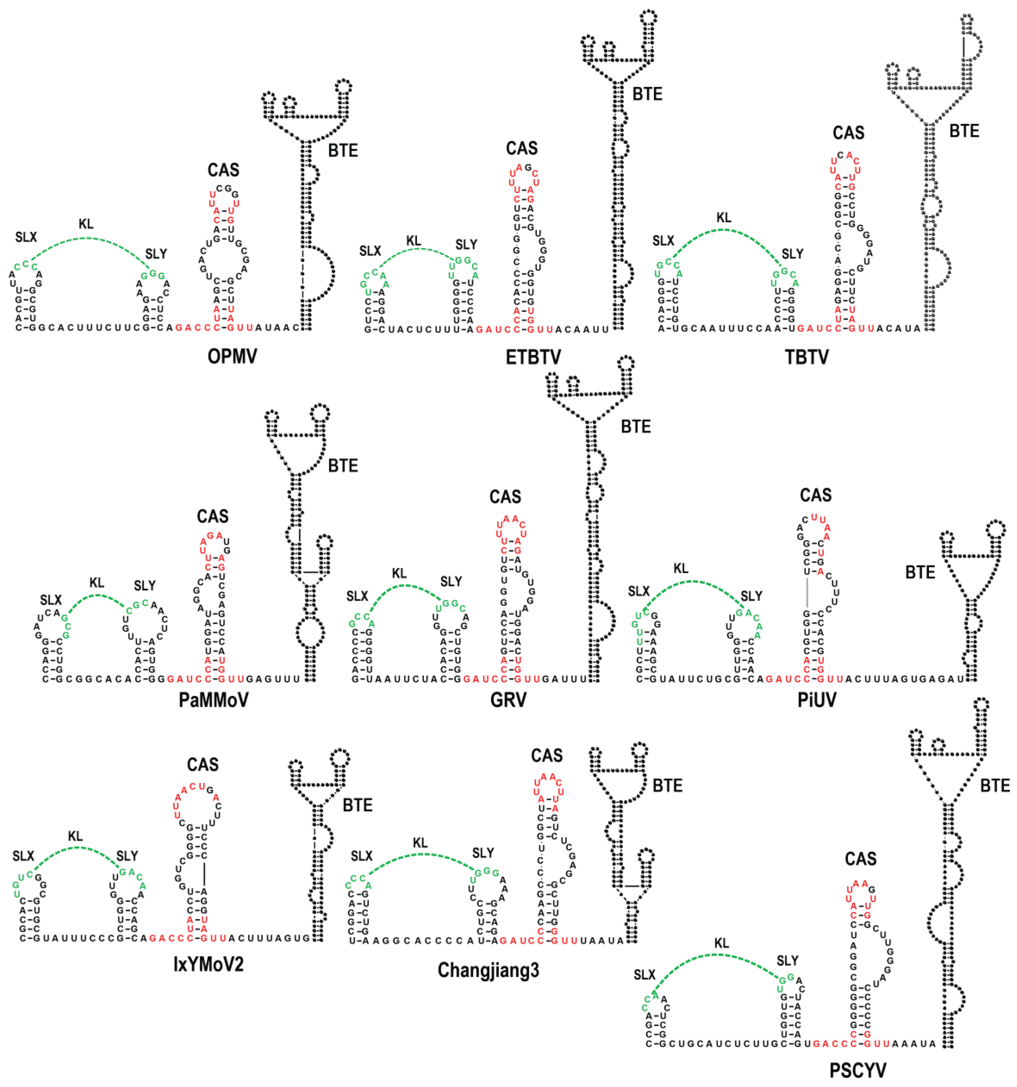 Viruses 15 00638 g002
