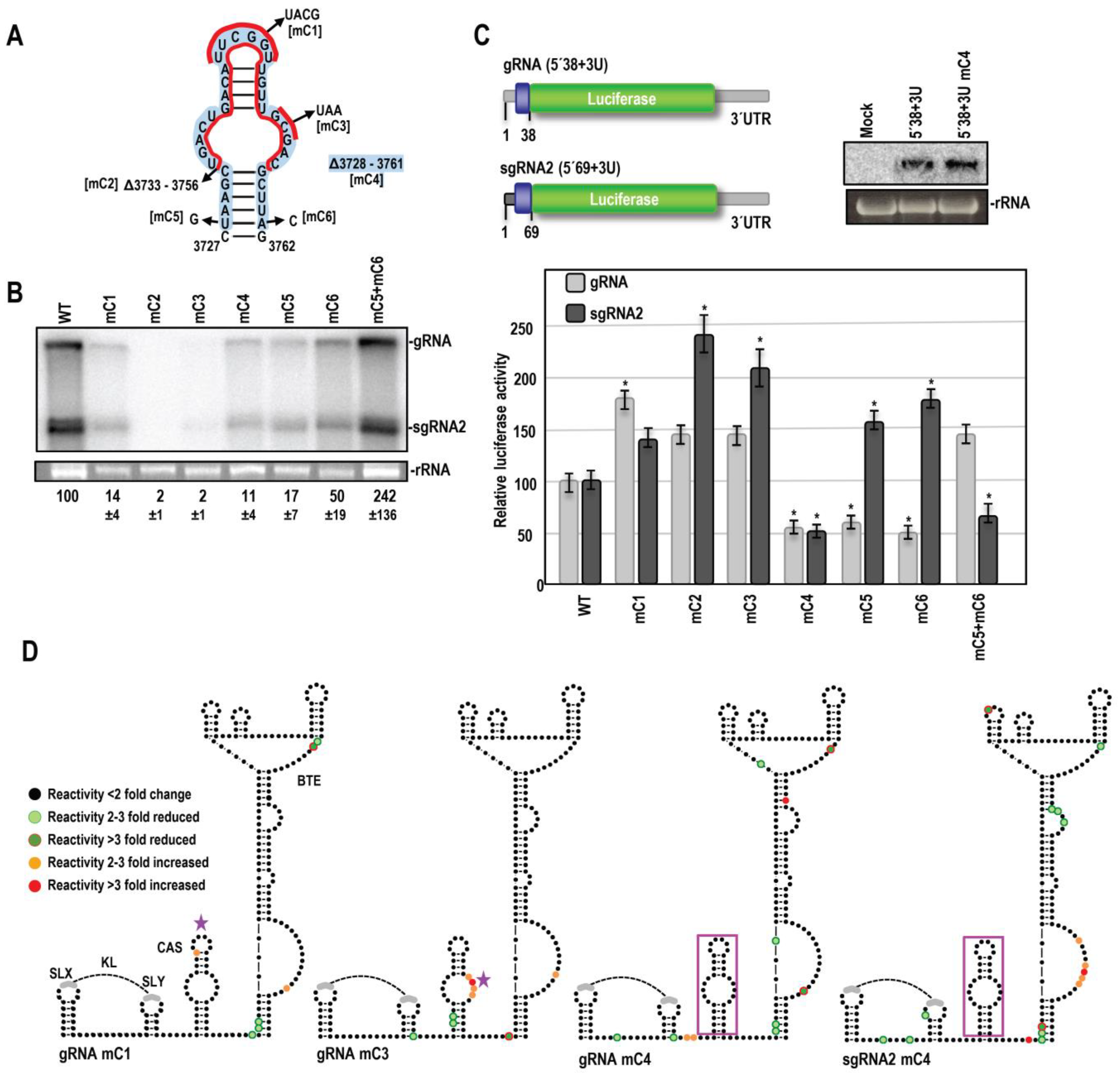 Viruses 15 00638 g005