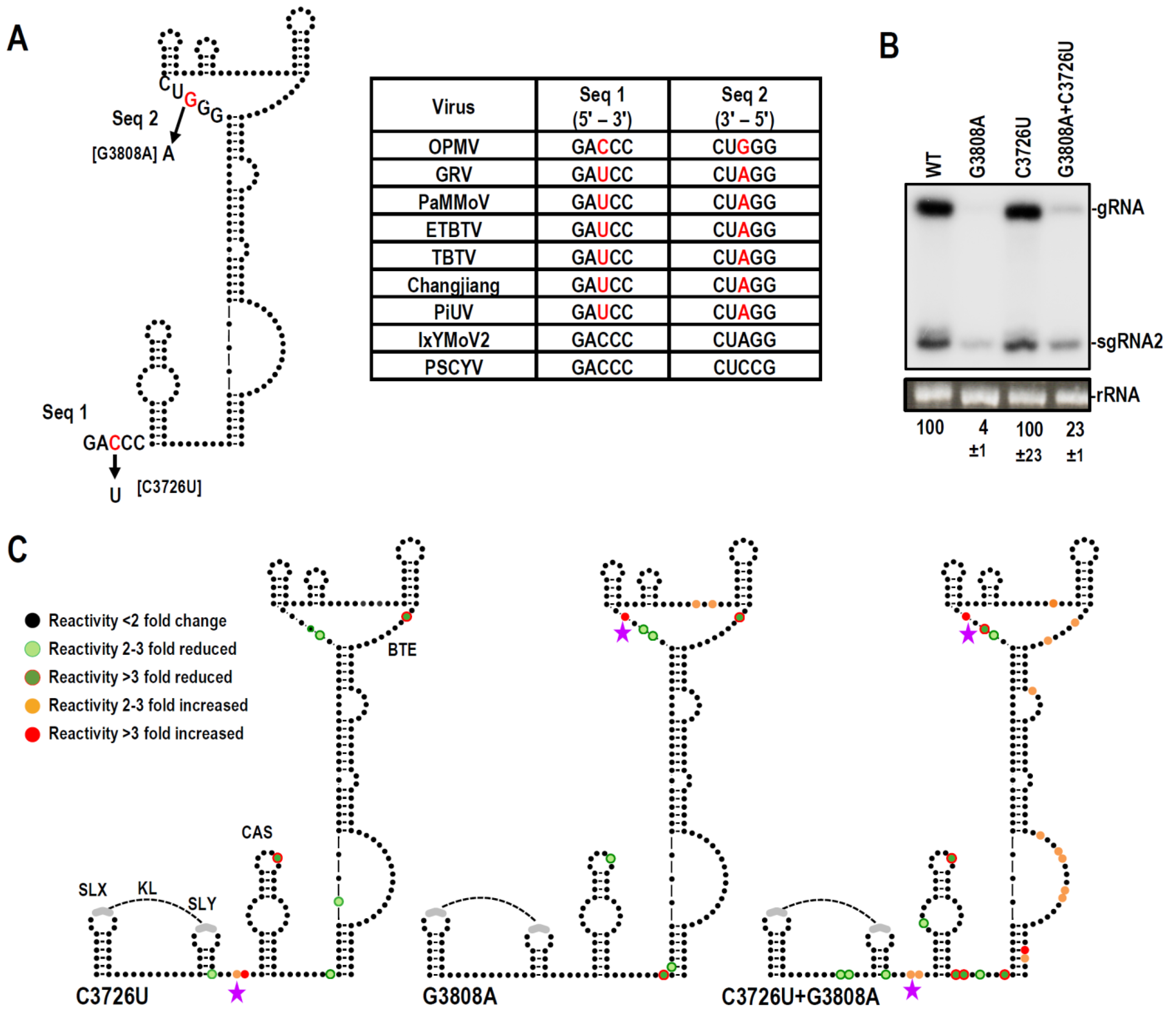 Viruses 15 00638 g006