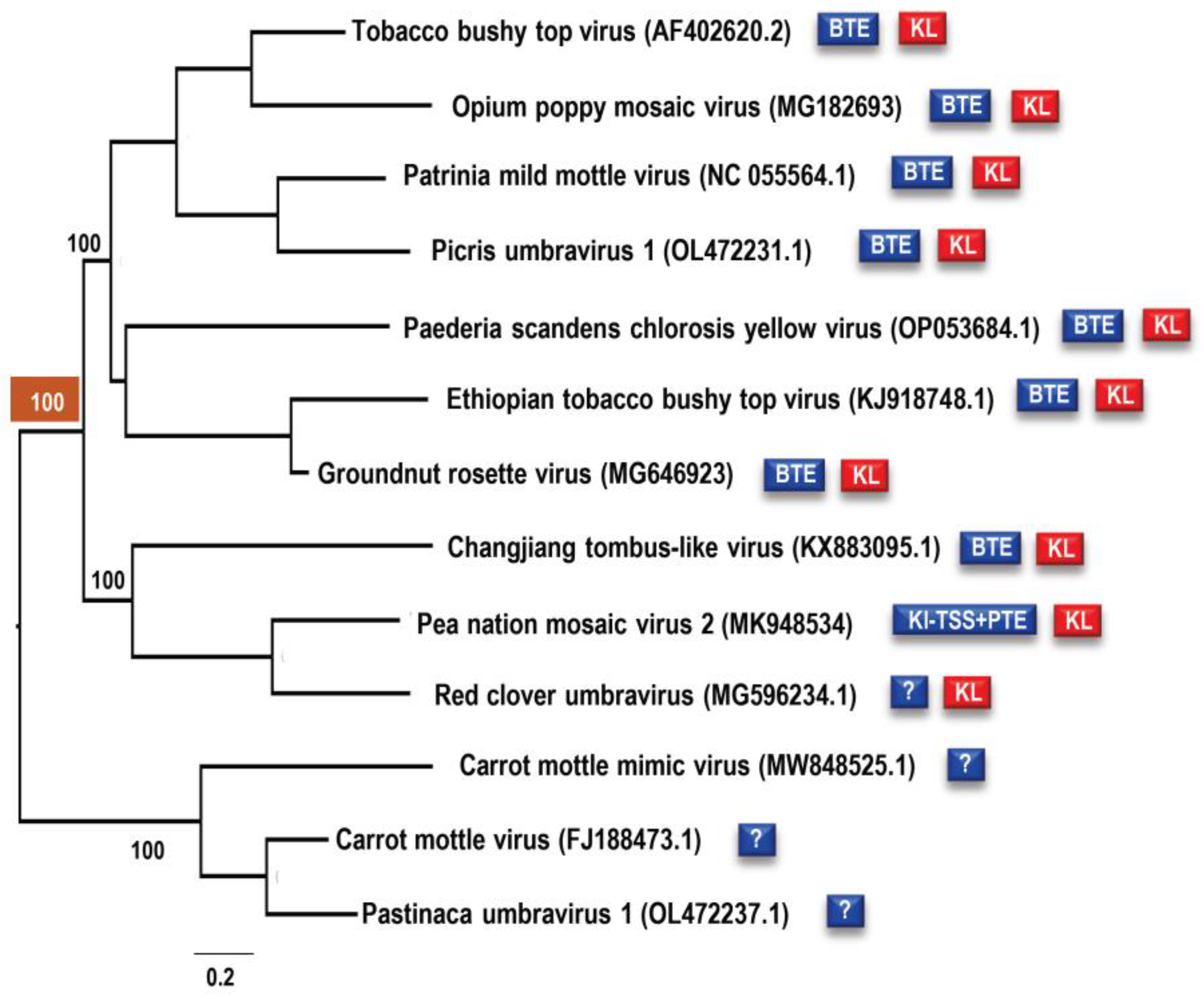 Viruses 15 00638 g010