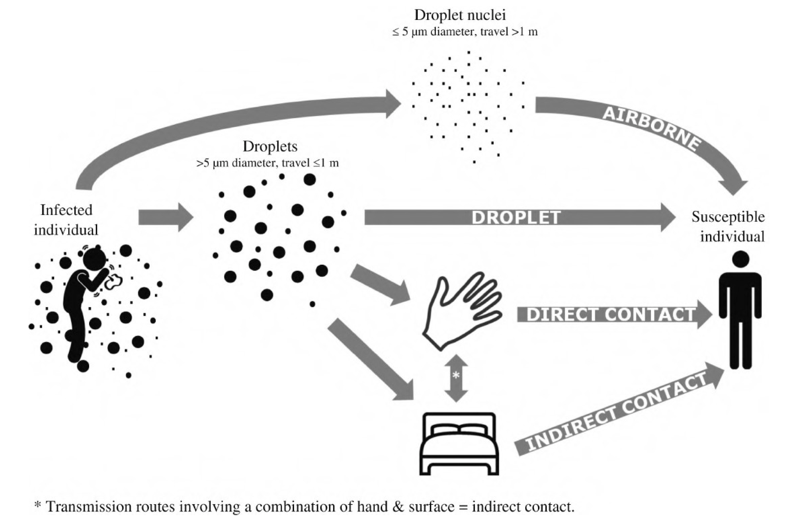 Viruses 15 00640 g002