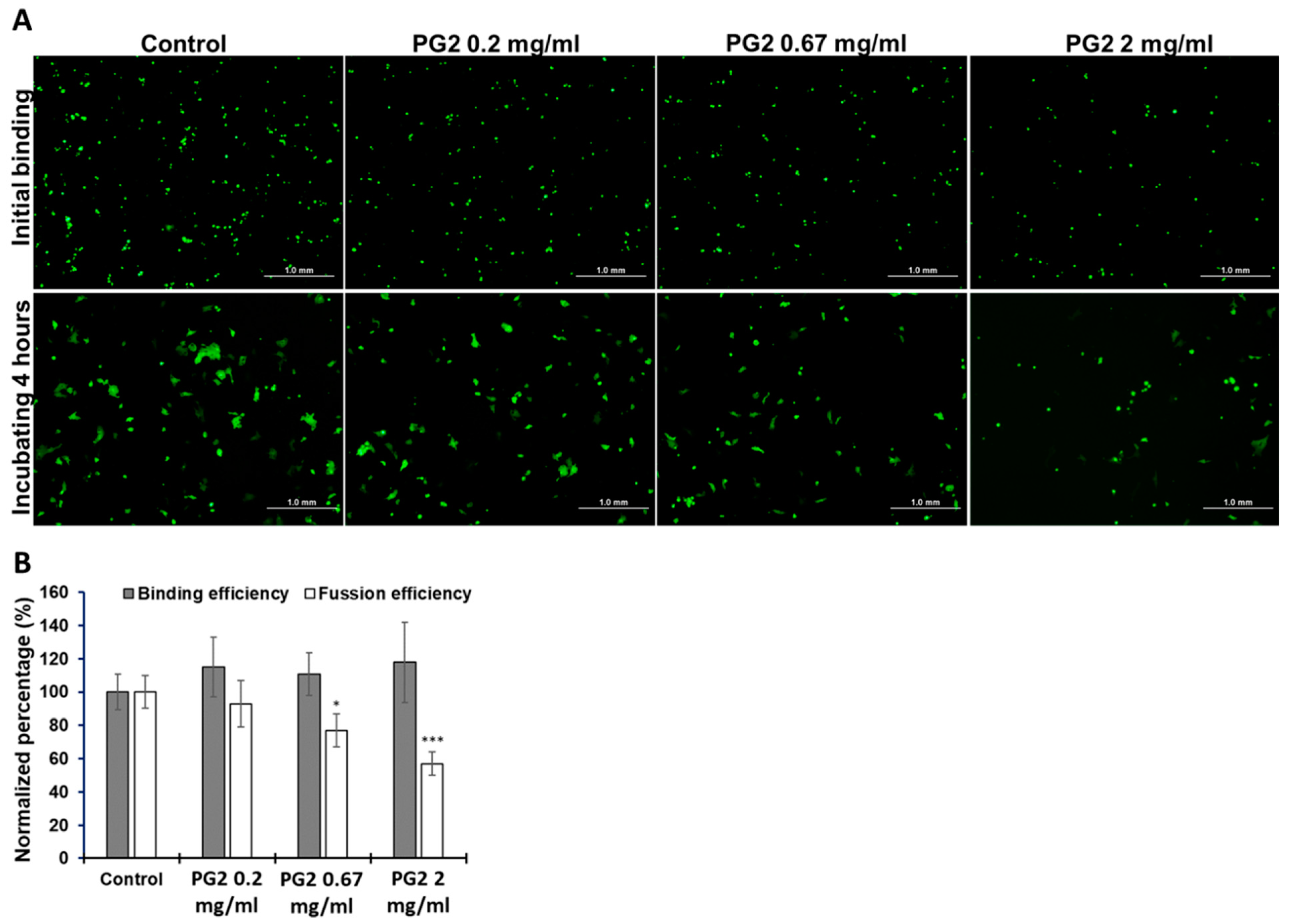 Viruses 15 00641 g002
