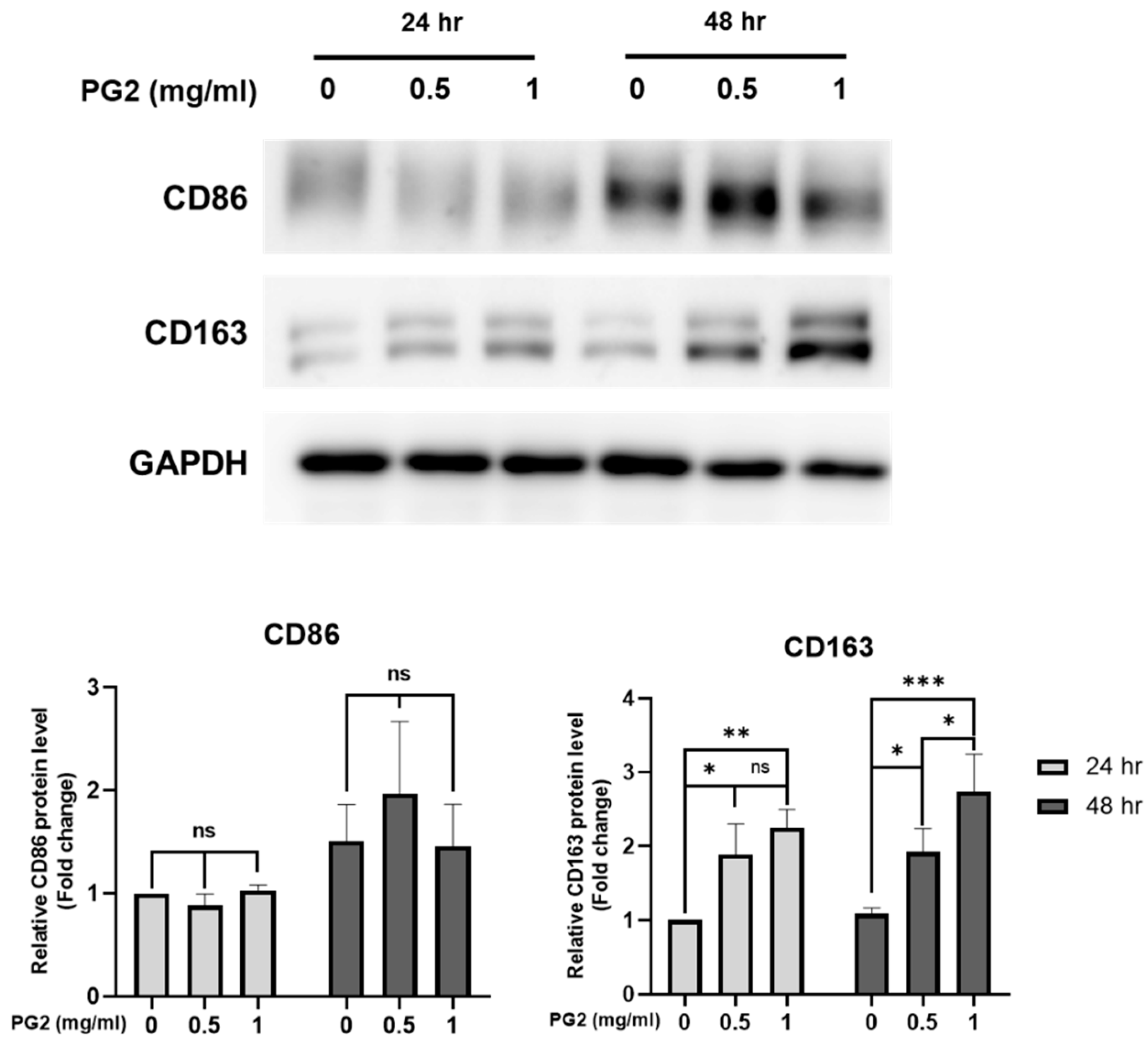 Viruses 15 00641 g005