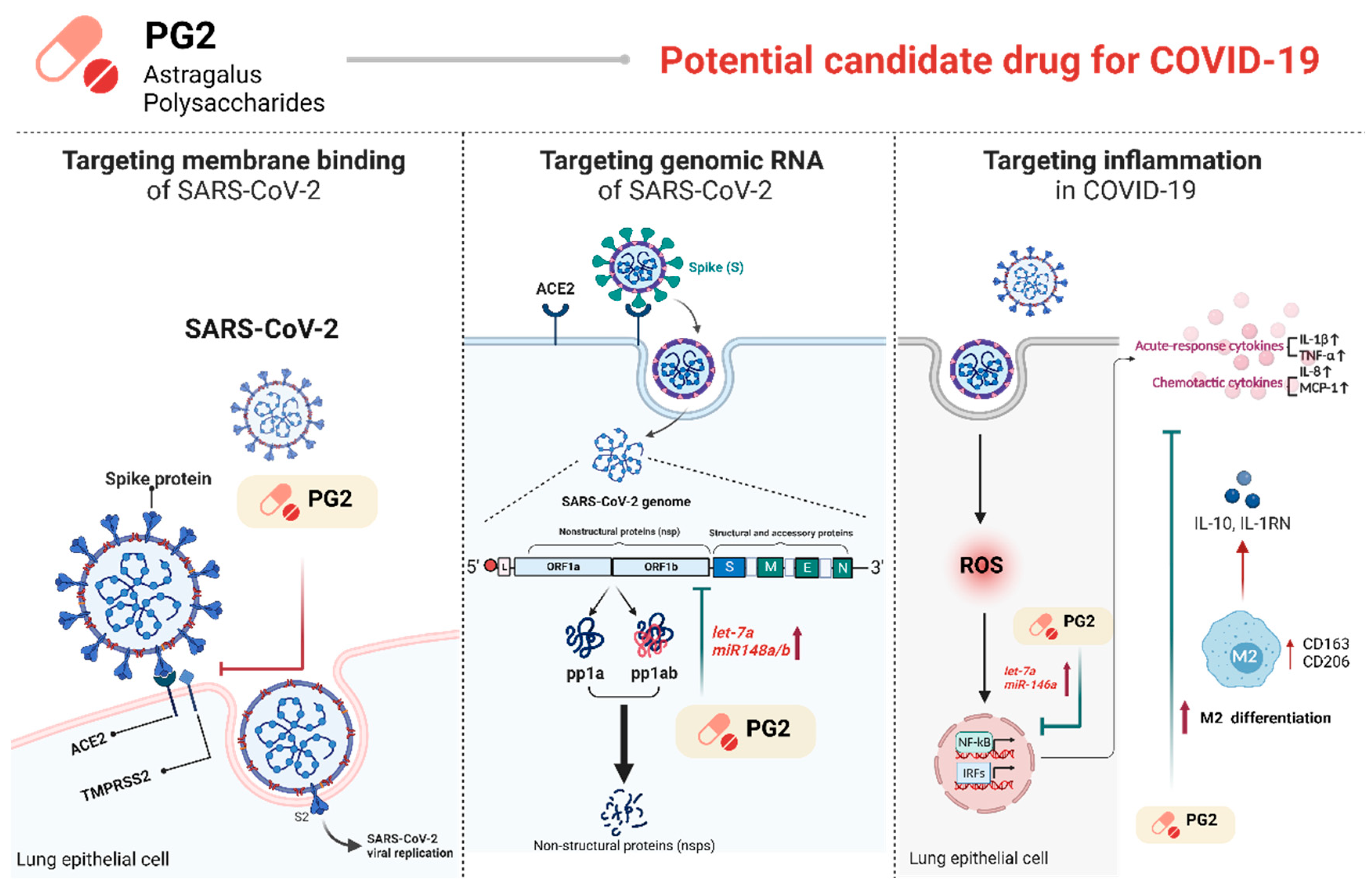 Viruses 15 00641 g007
