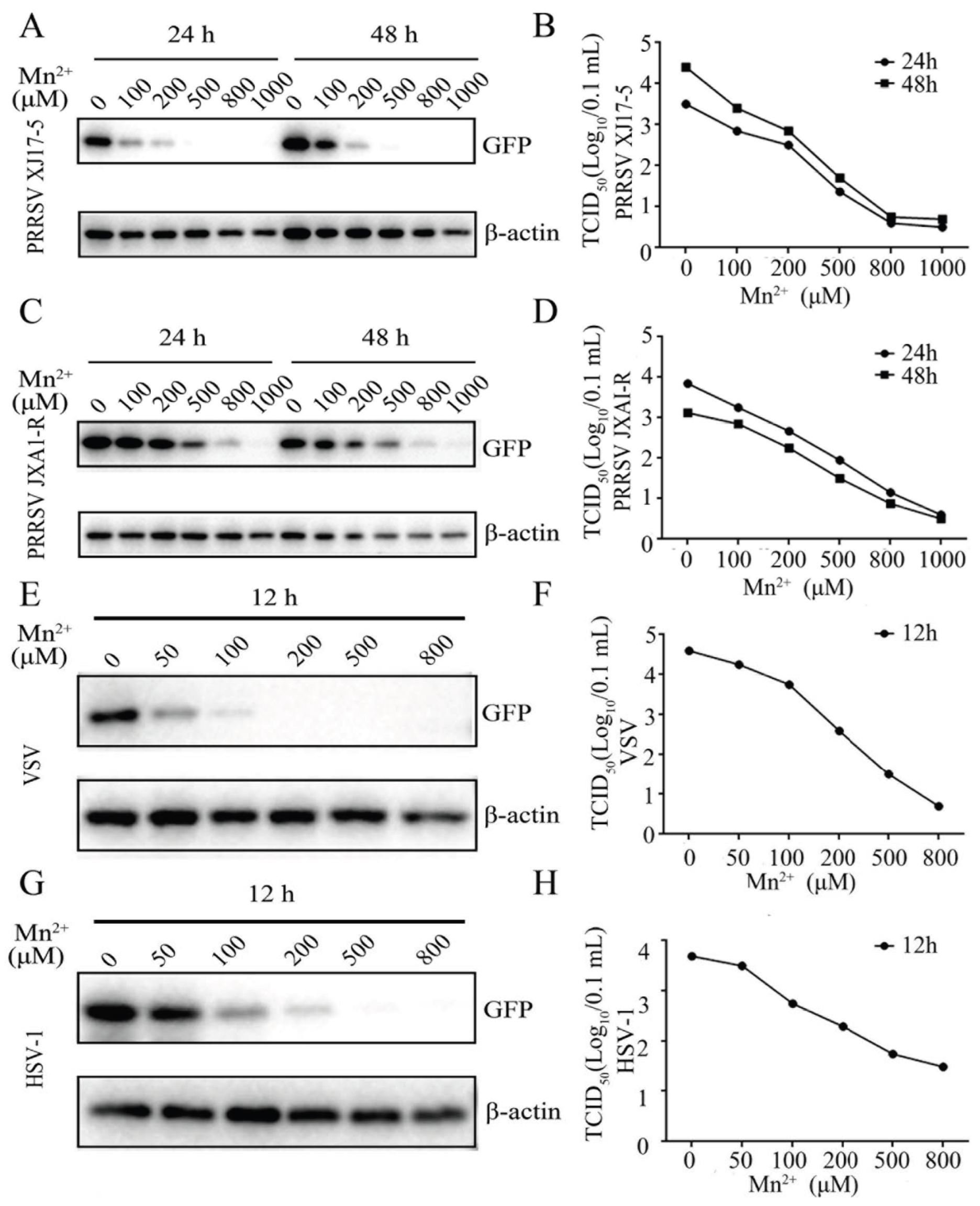 Viruses 15 00646 g001