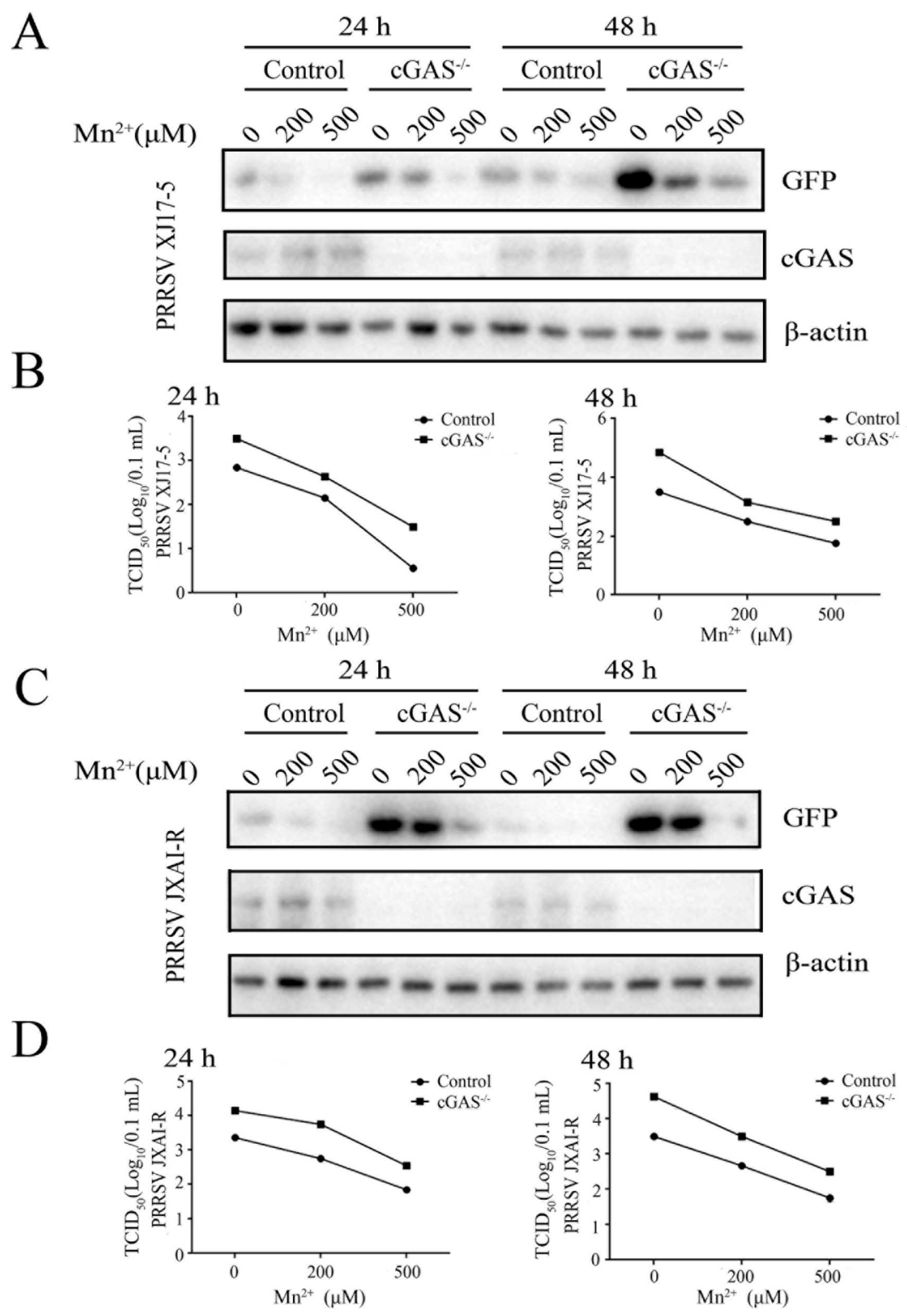 Viruses 15 00646 g002