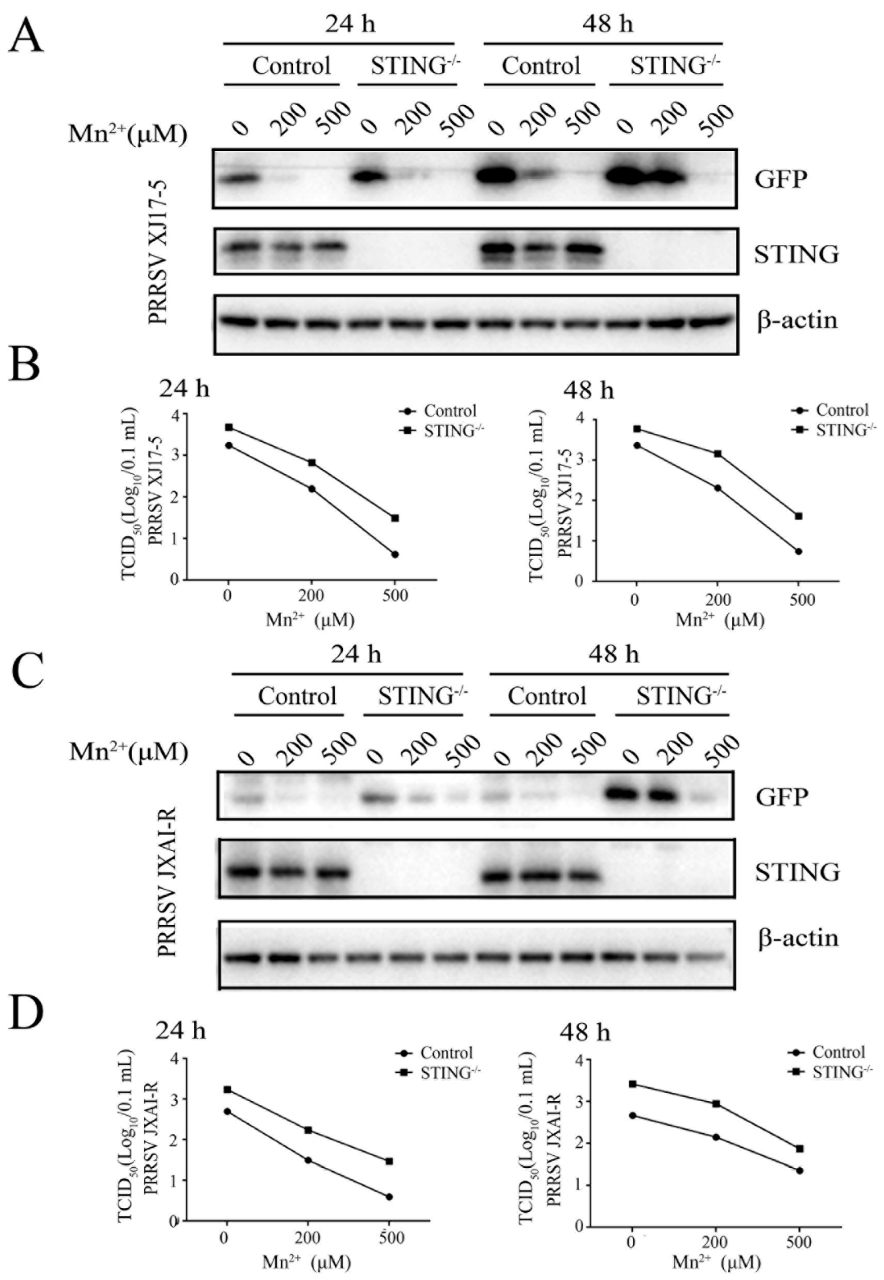 Viruses 15 00646 g003