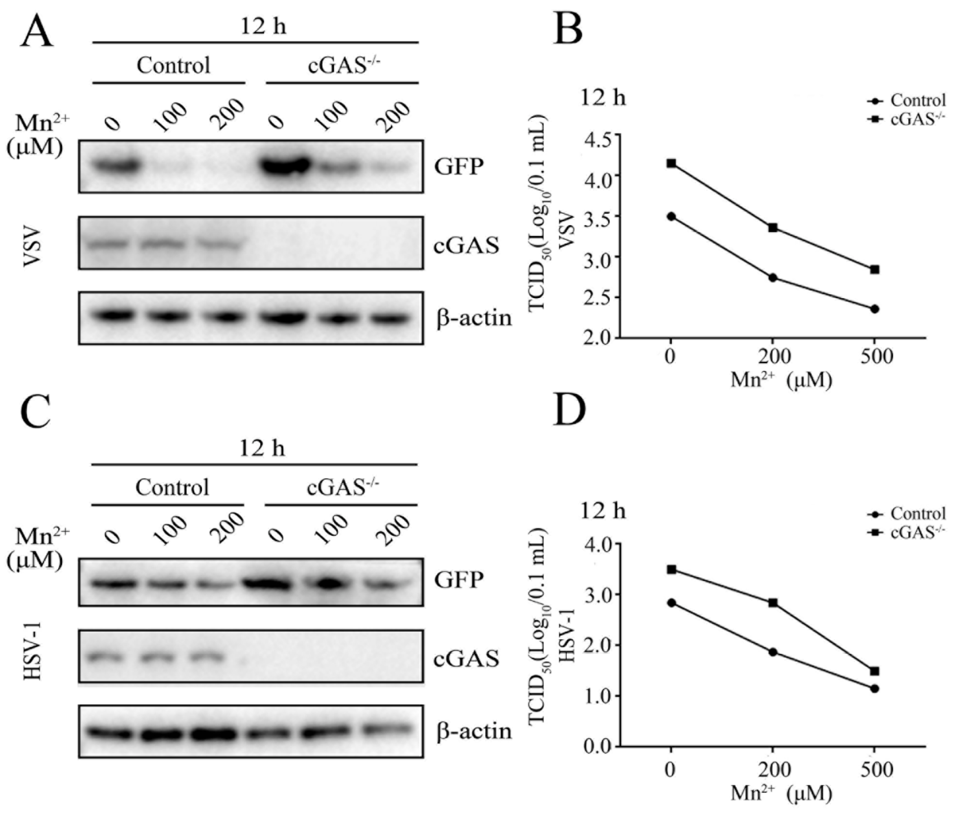 Viruses 15 00646 g004