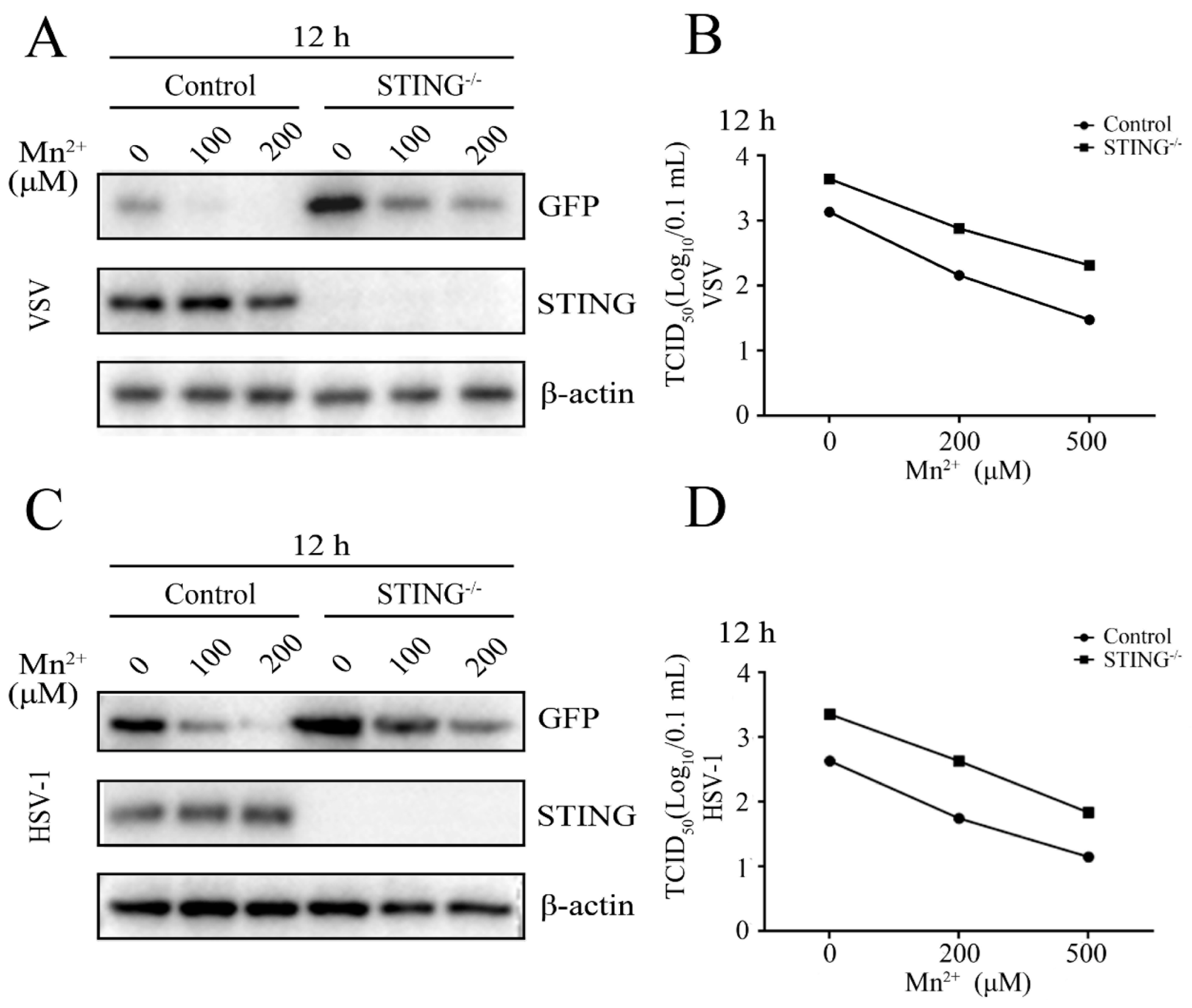 Viruses 15 00646 g005
