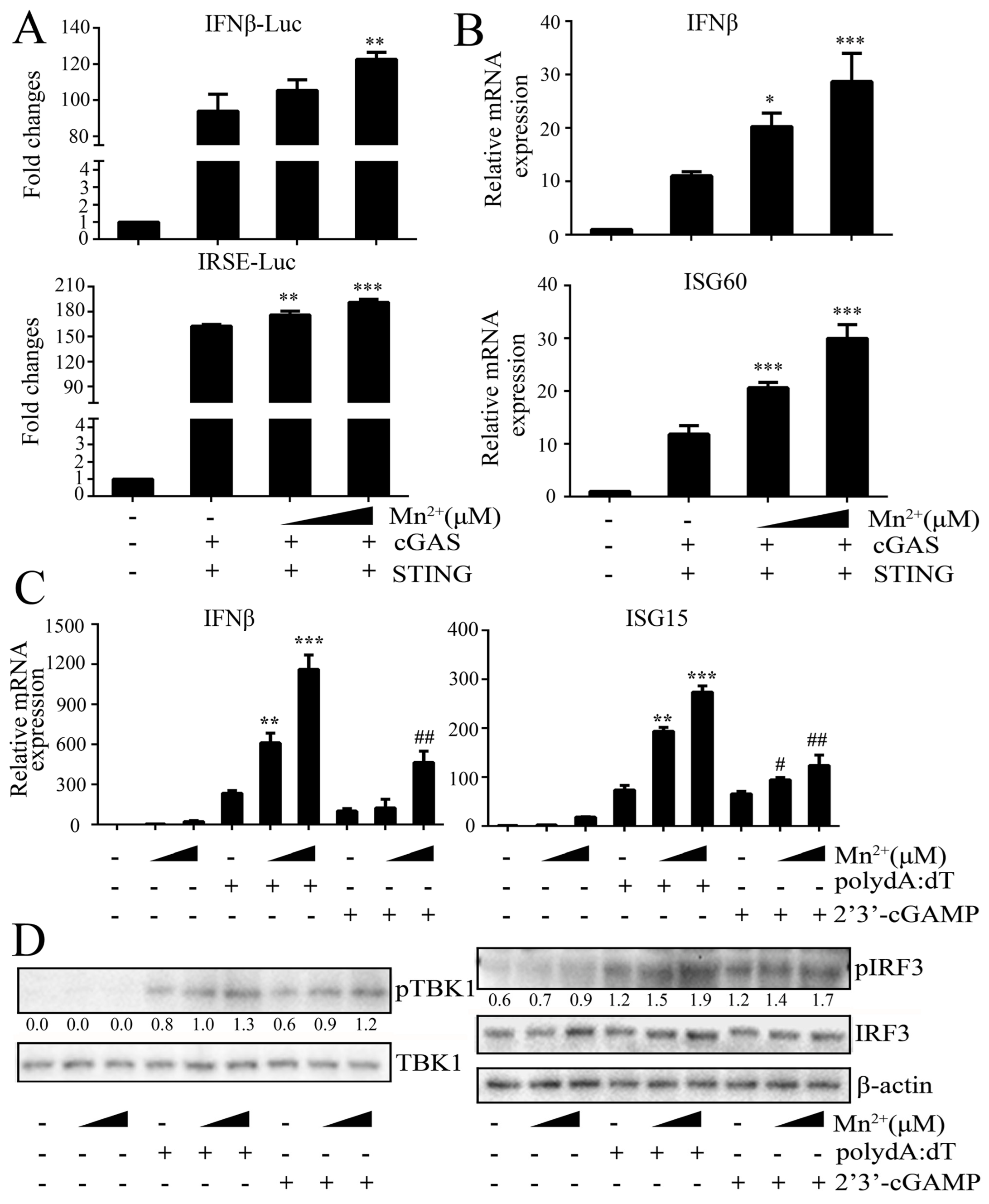 Viruses 15 00646 g006