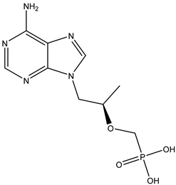 Viruses 15 00647 i013 Viruses 15 00647 i013