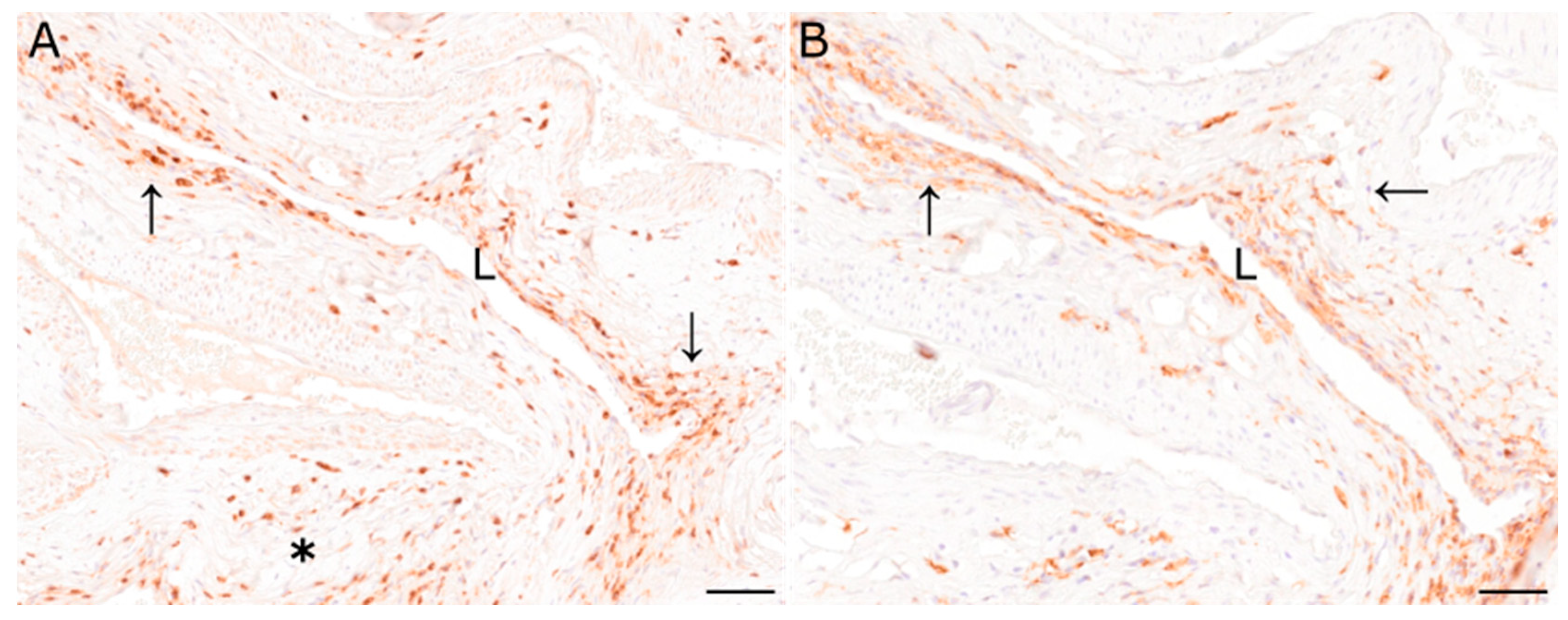 Viruses 15 00649 g002