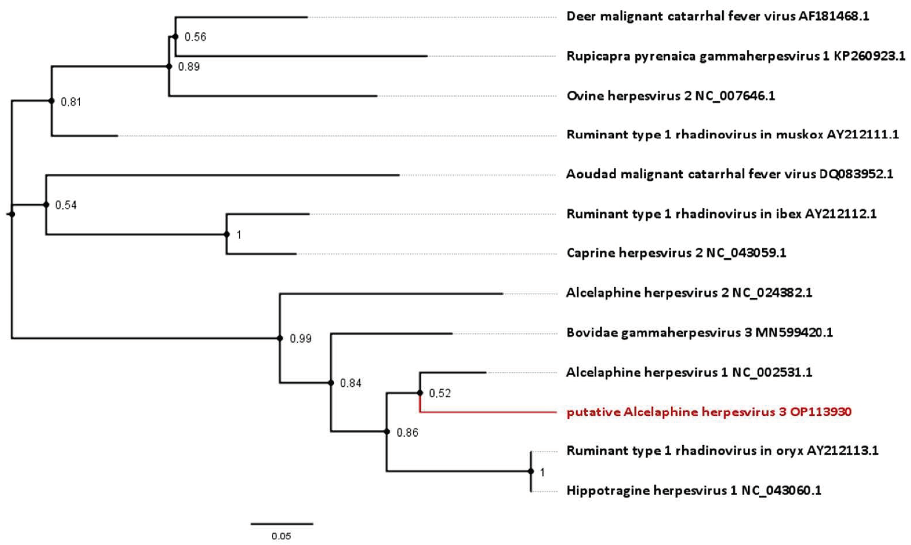 Viruses 15 00649 g004