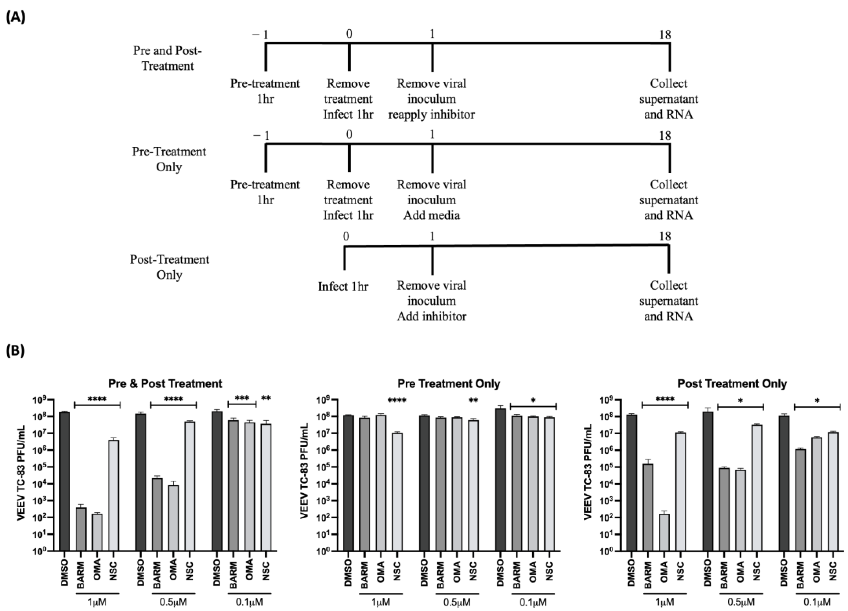Viruses 15 00655 g004