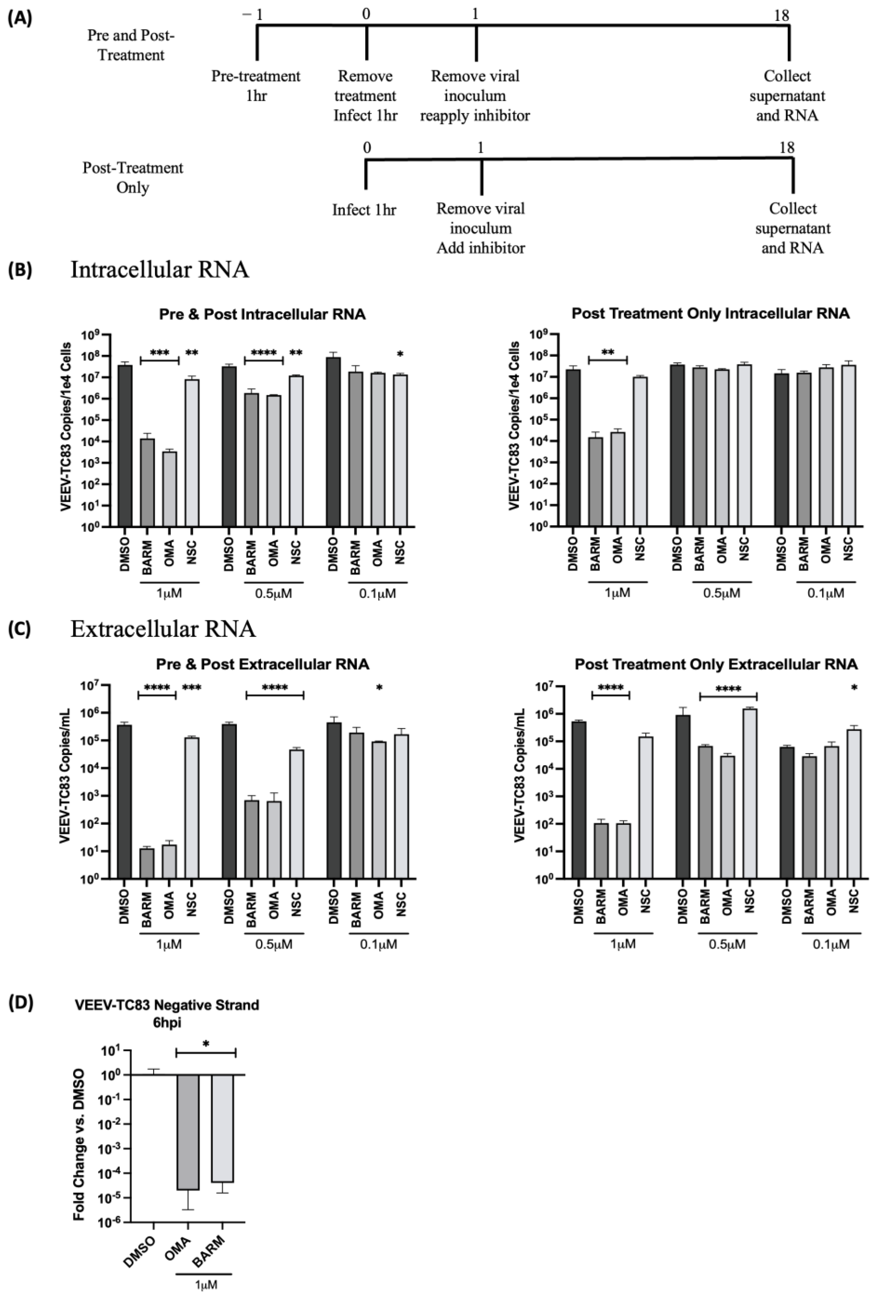 Viruses 15 00655 g005