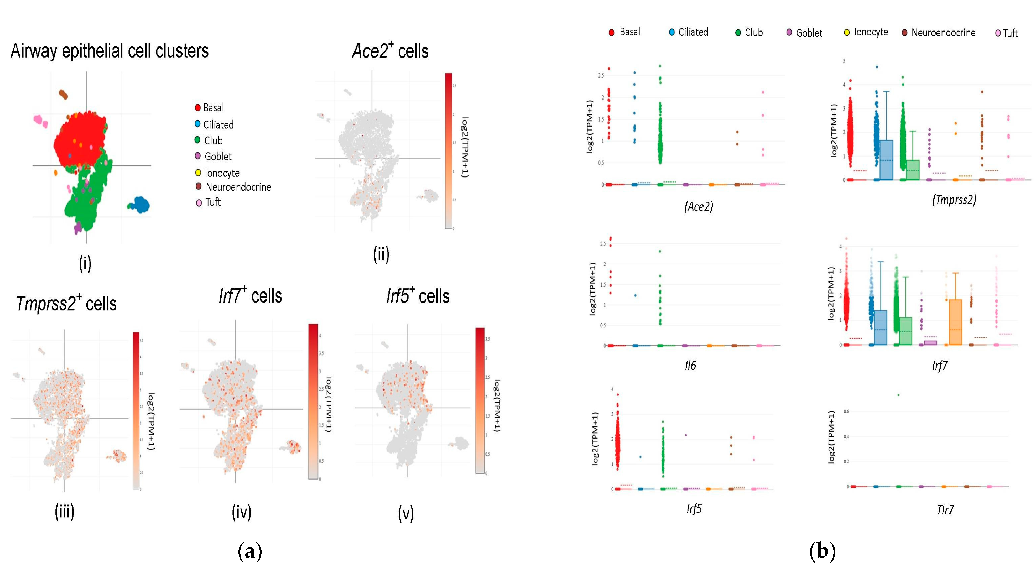 Viruses 15 00657 g001