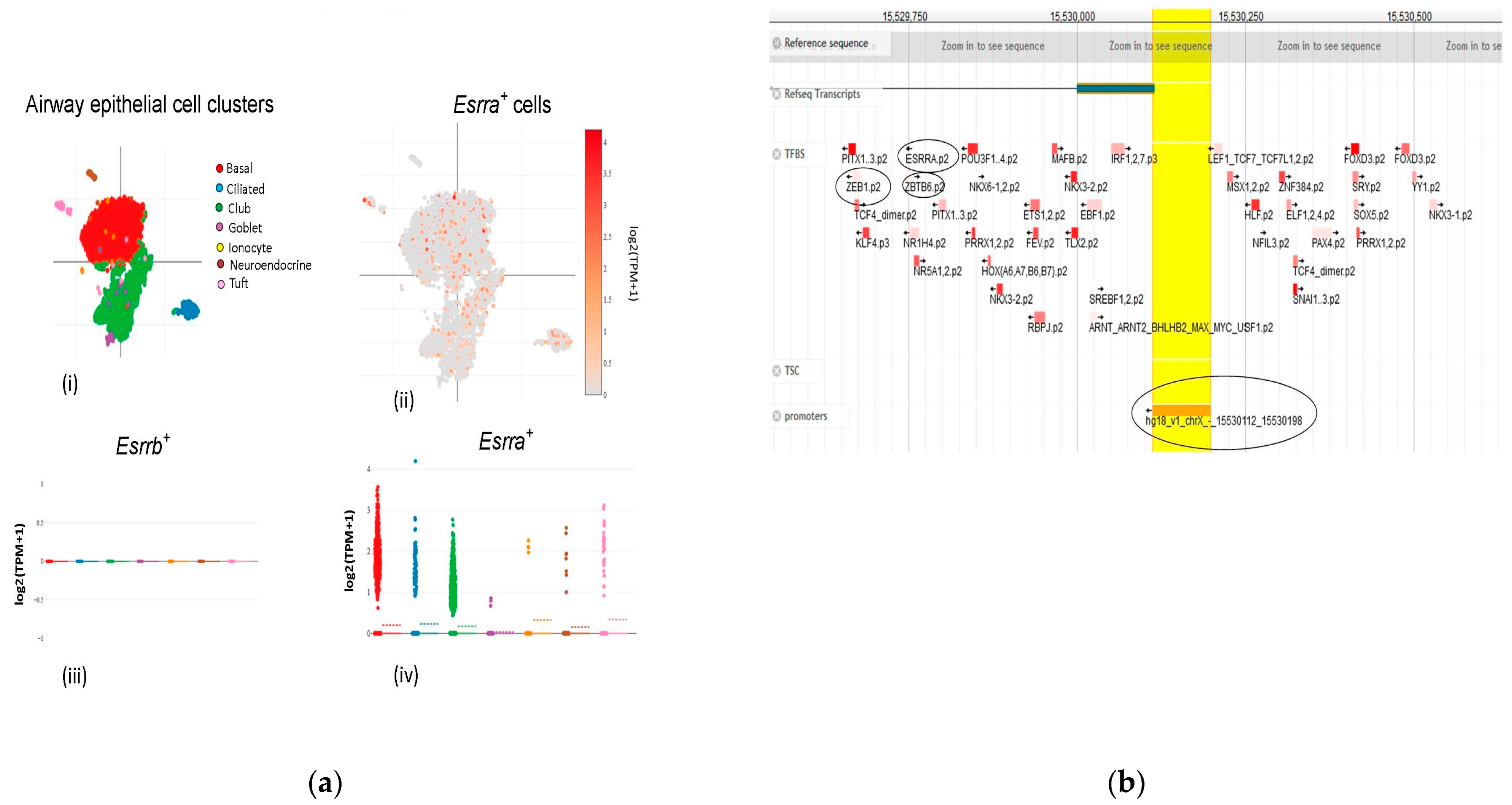 Viruses 15 00657 g003