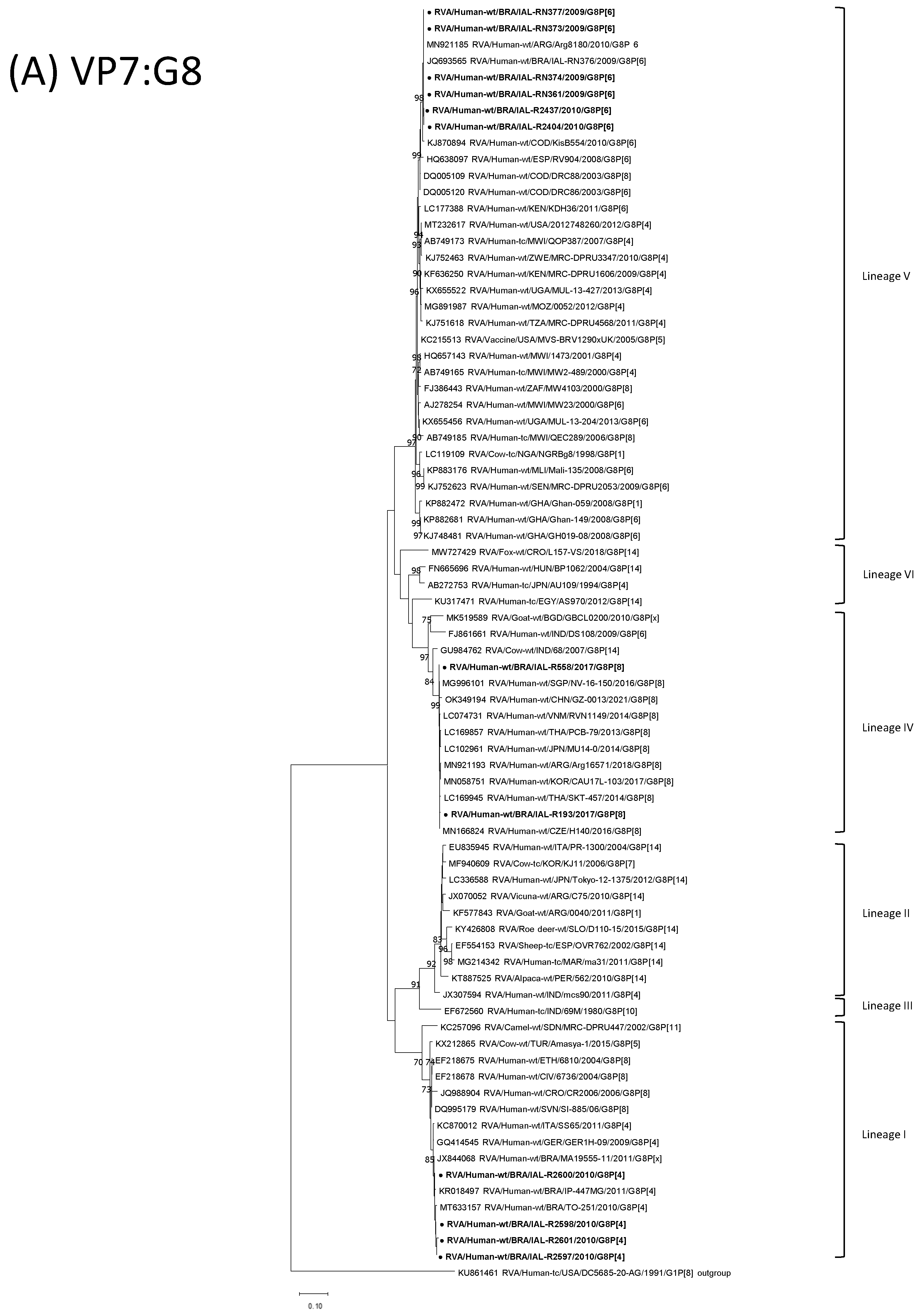 Viruses 15 00664 g001a Viruses 15 00664 g001a