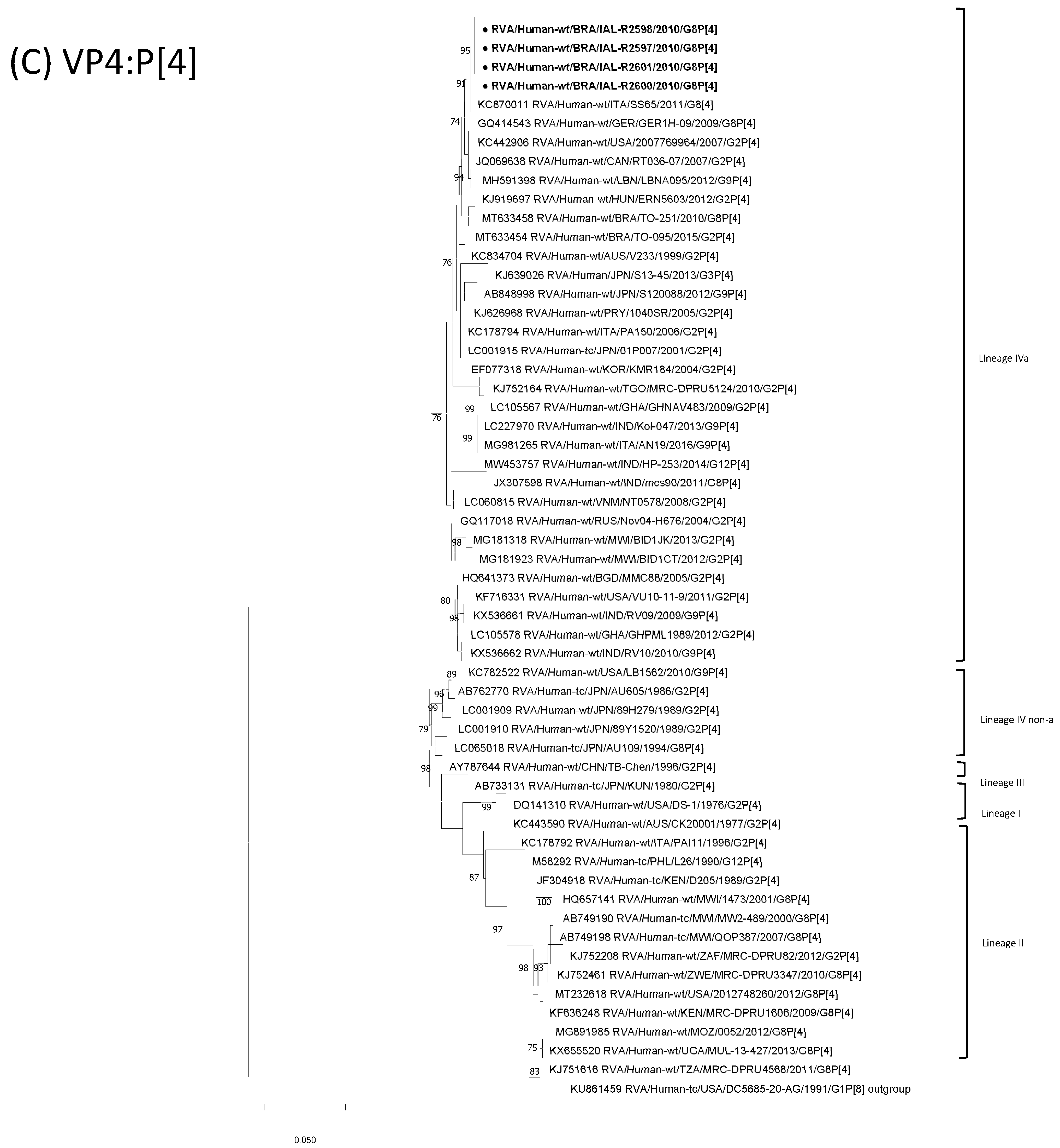 Viruses 15 00664 g001c Viruses 15 00664 g001c