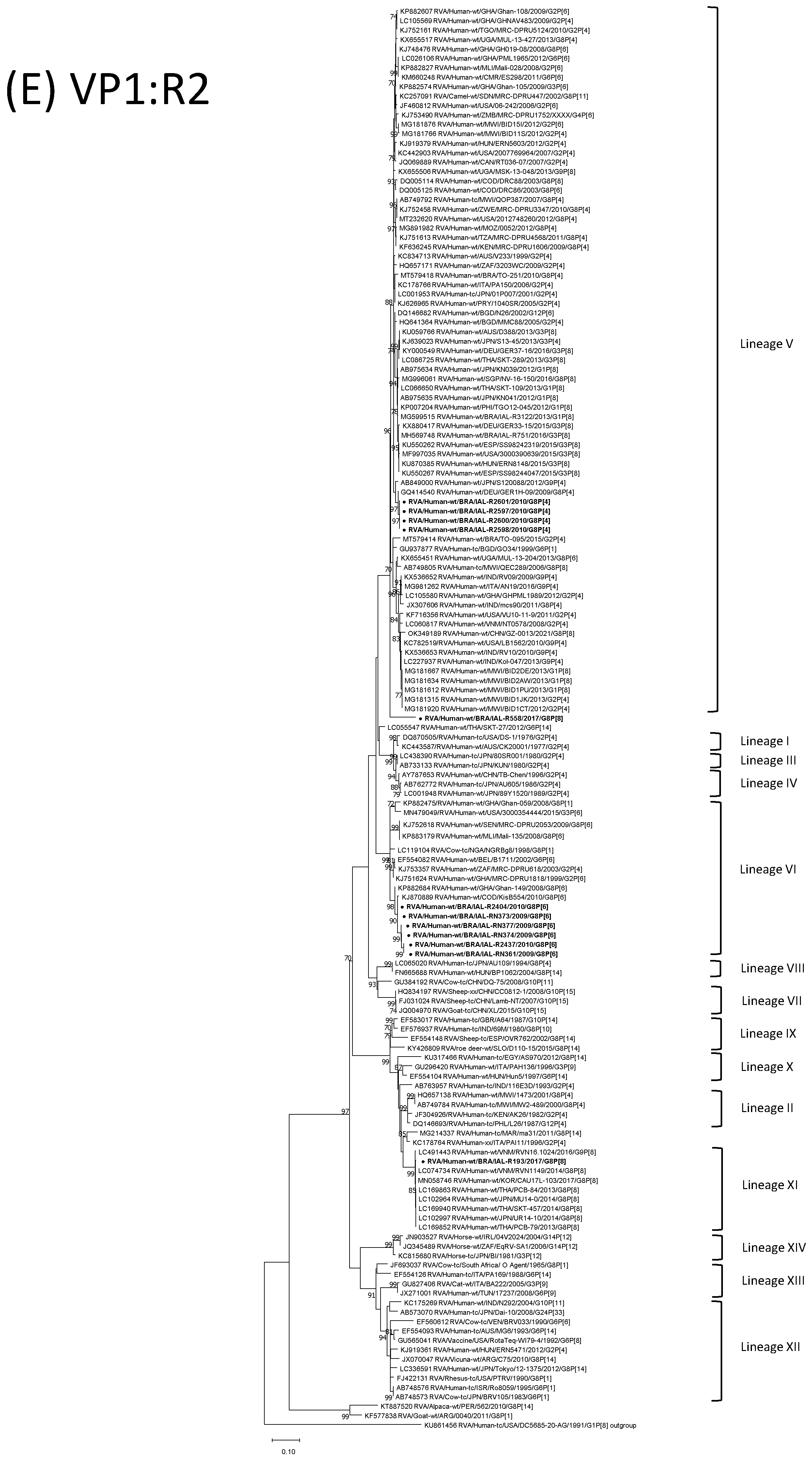Viruses 15 00664 g001e Viruses 15 00664 g001e