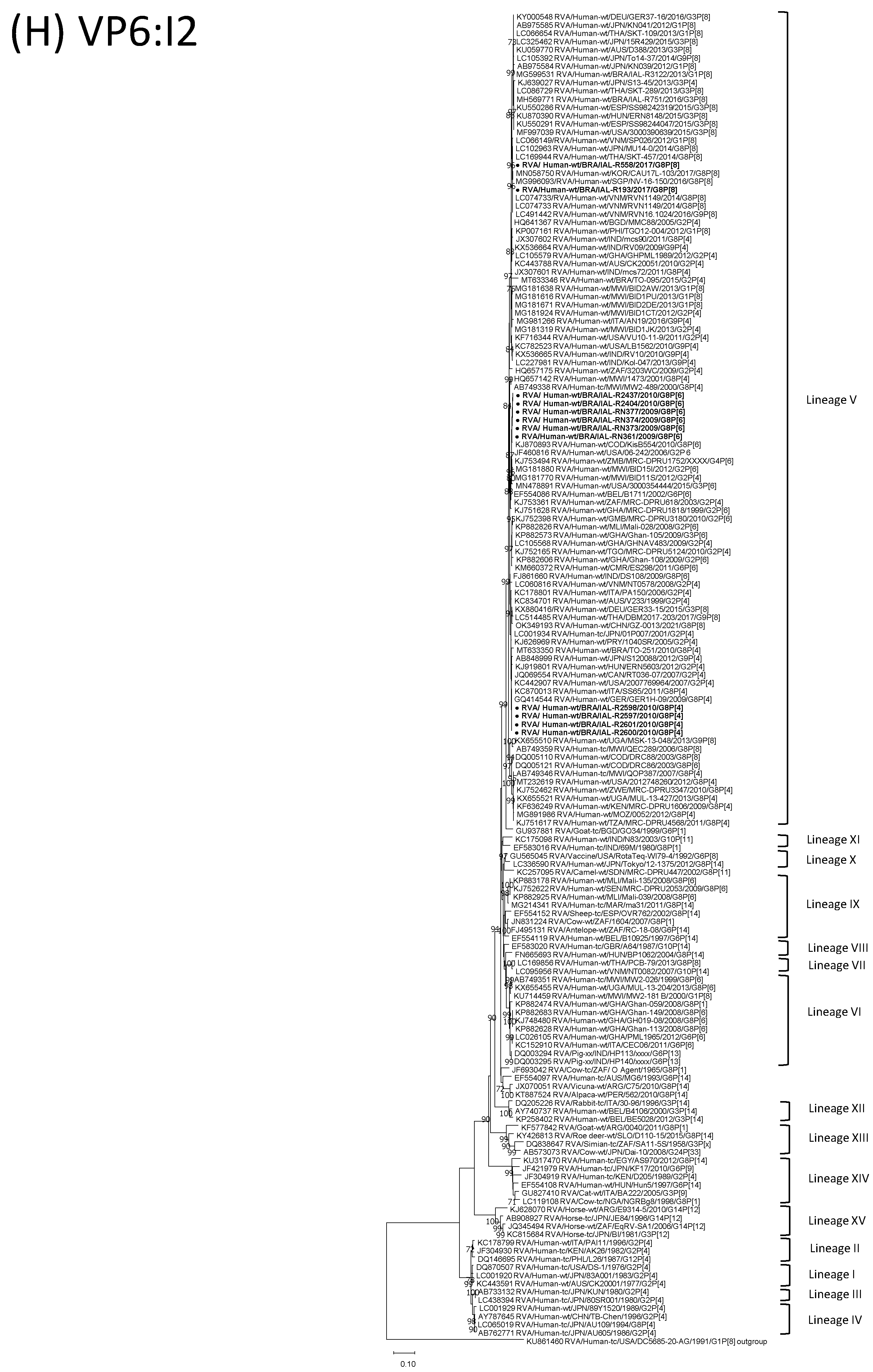 Viruses 15 00664 g001h Viruses 15 00664 g001h
