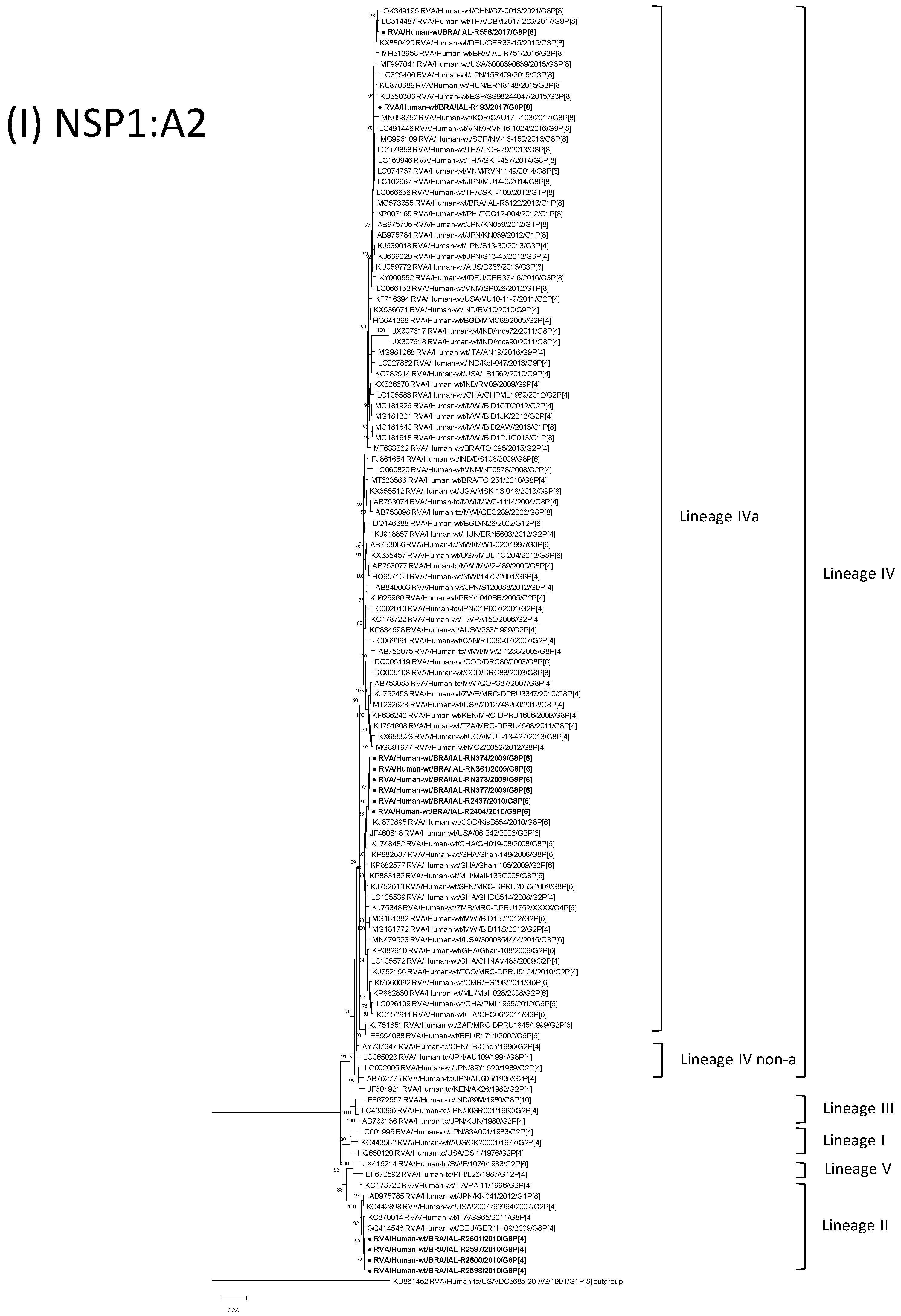 Viruses 15 00664 g001i Viruses 15 00664 g001i