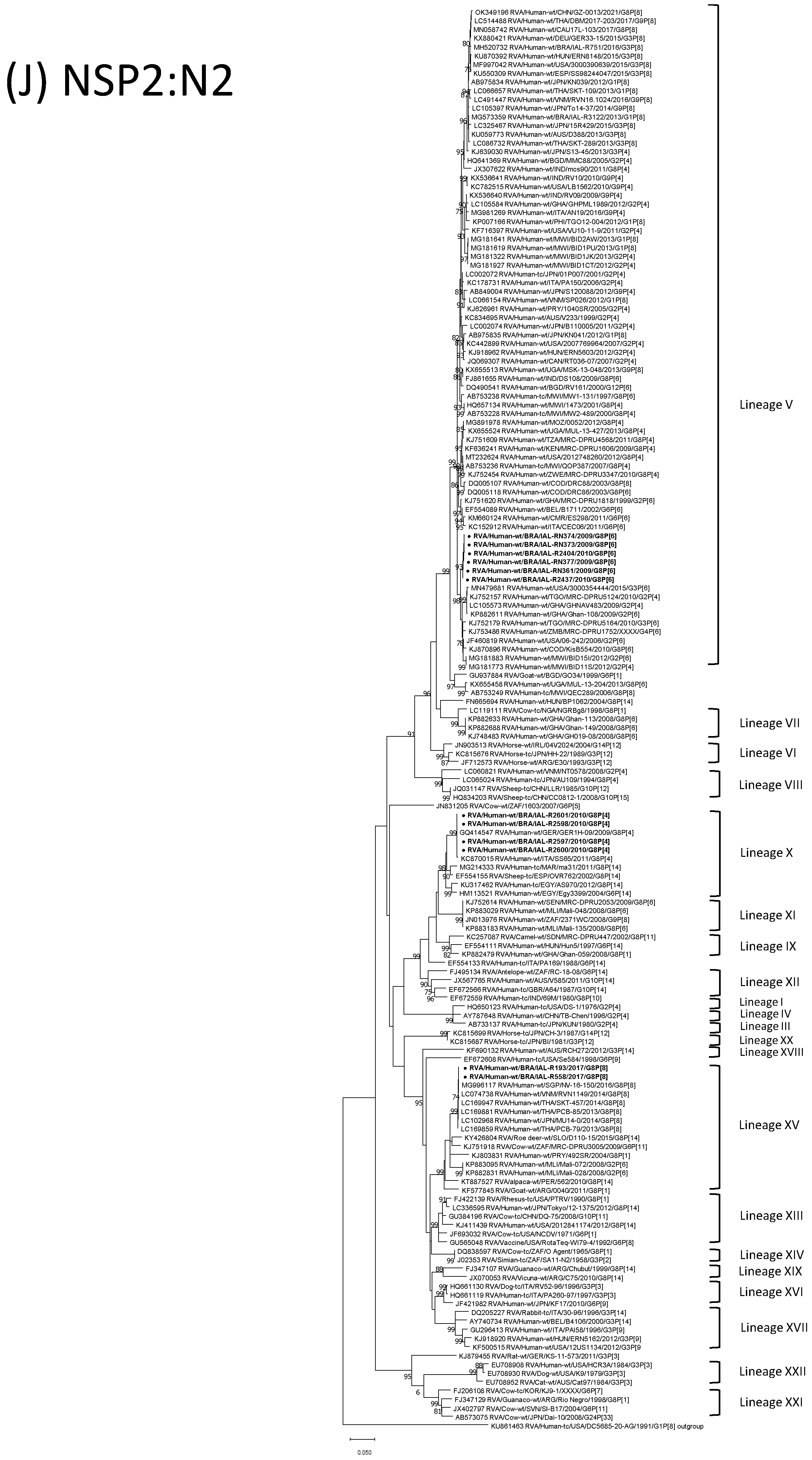 Viruses 15 00664 g001j Viruses 15 00664 g001j