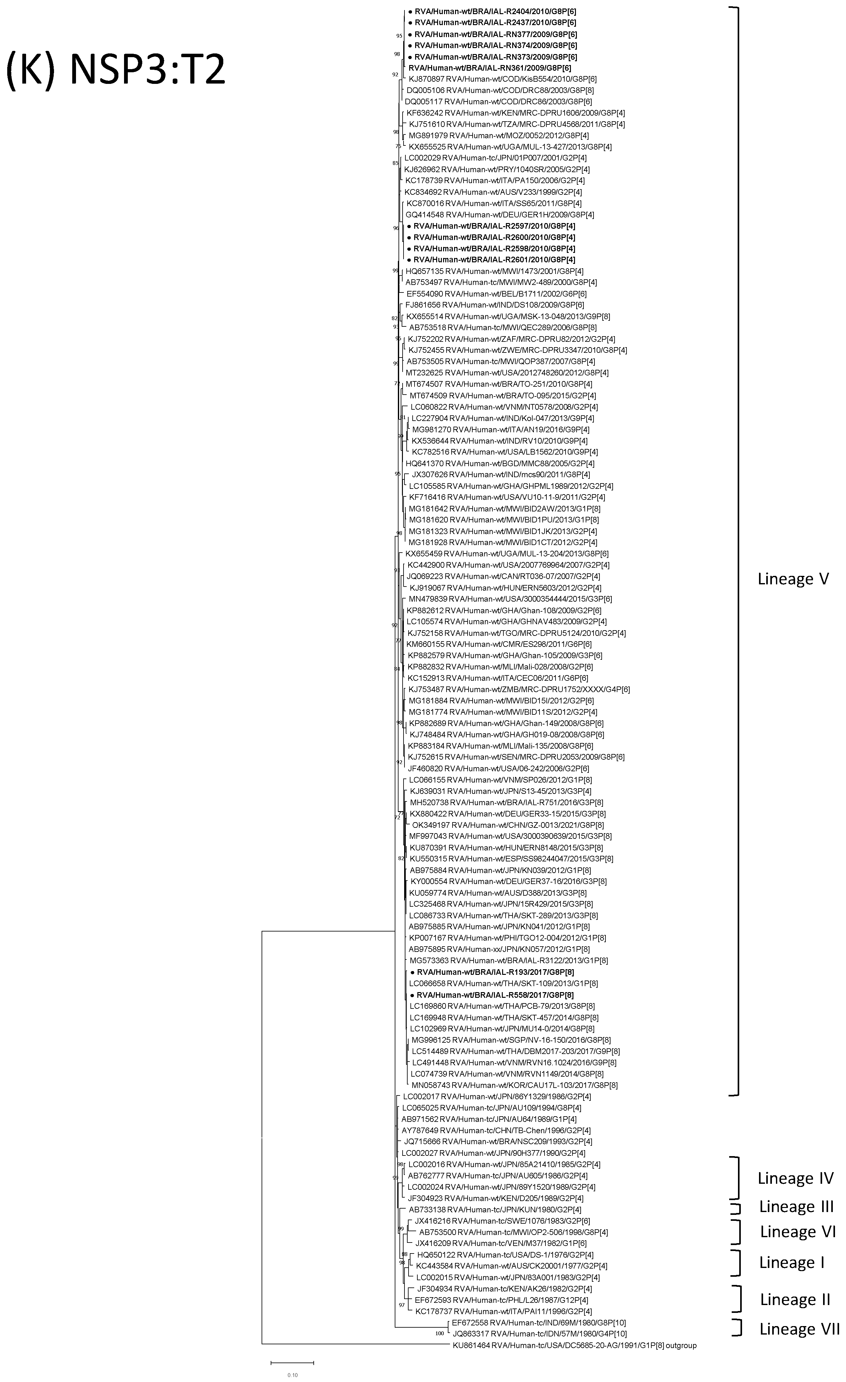 Viruses 15 00664 g001k Viruses 15 00664 g001k