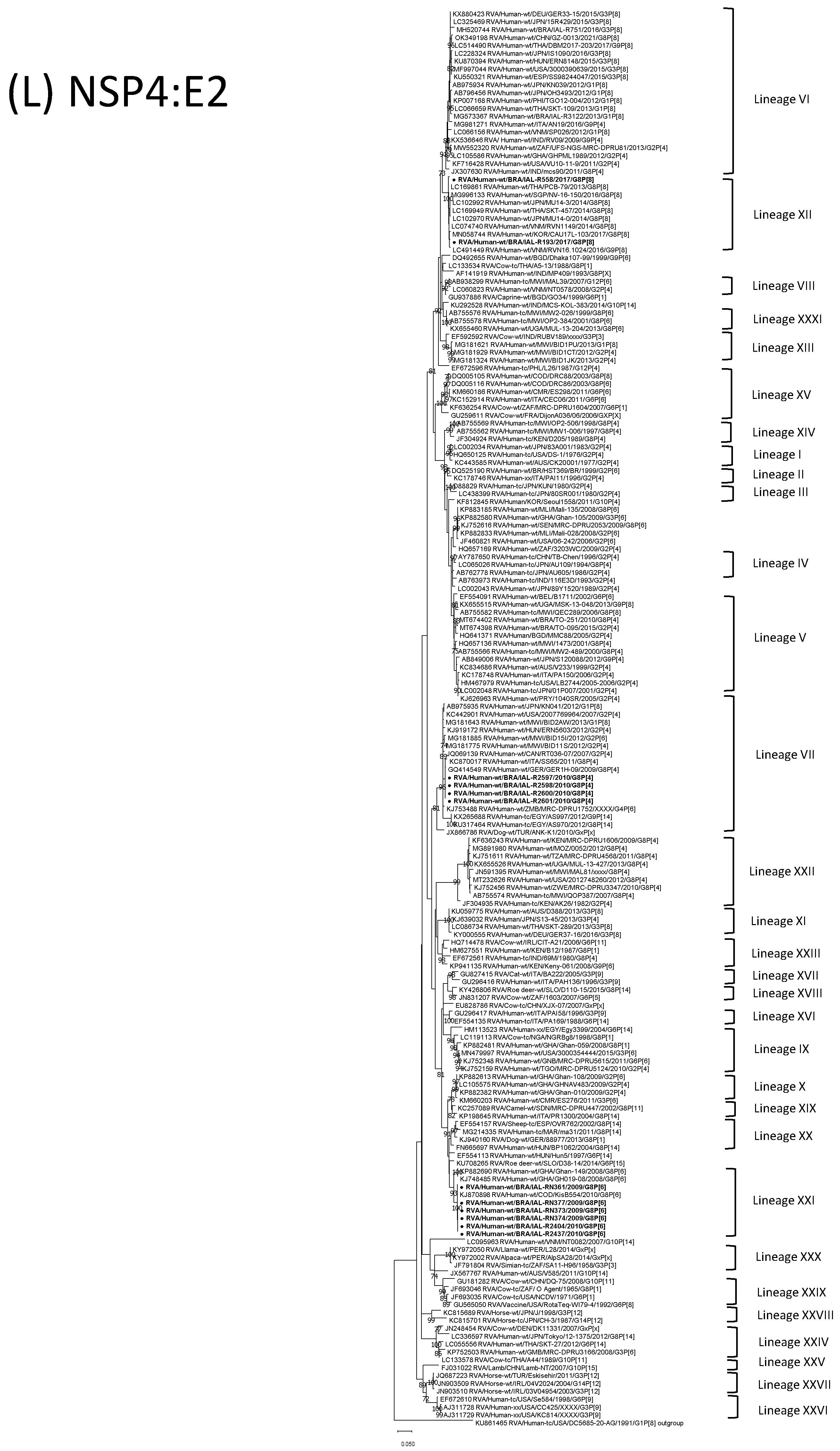 Viruses 15 00664 g001l Viruses 15 00664 g001l