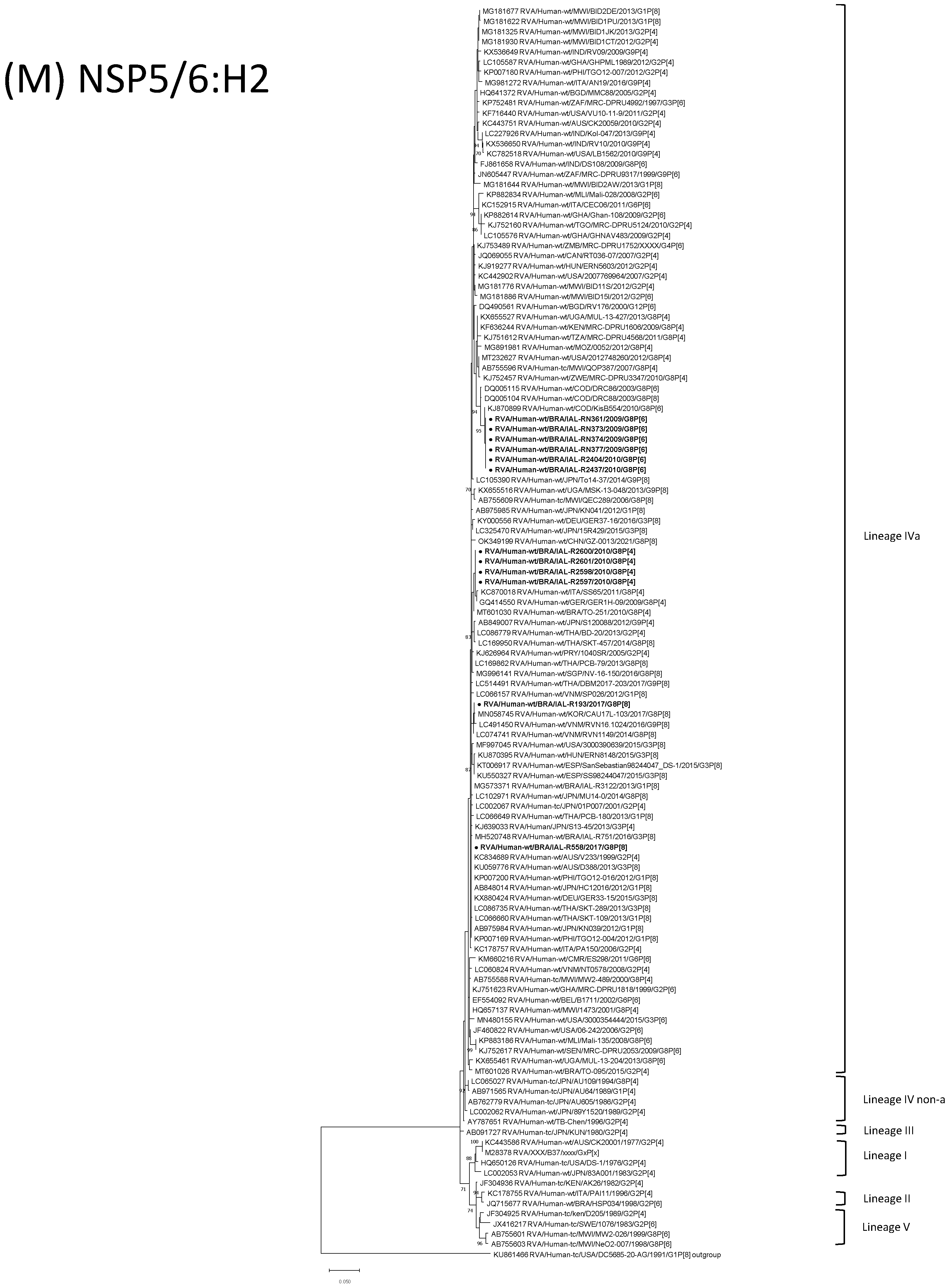 Viruses 15 00664 g001m Viruses 15 00664 g001m