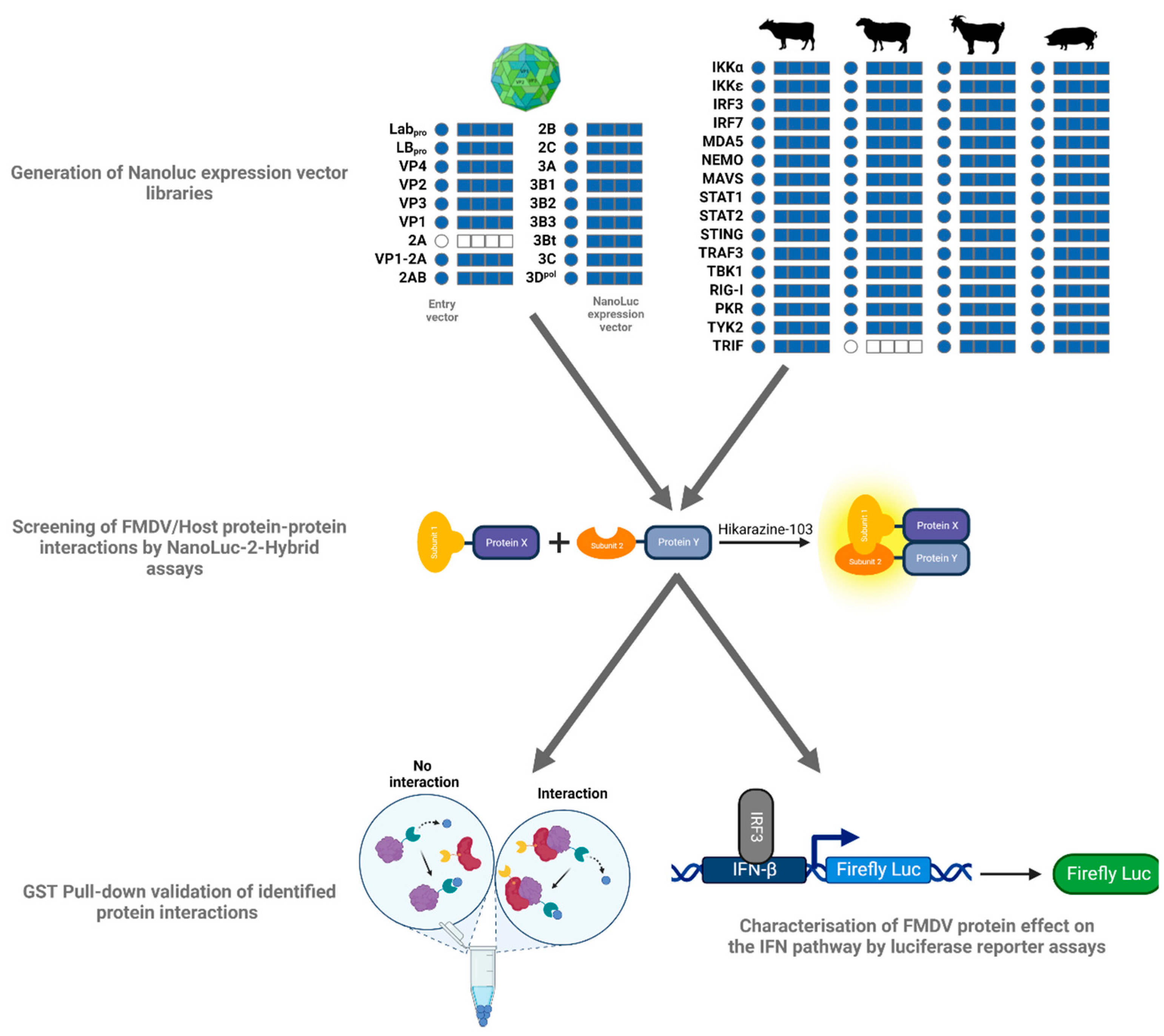Viruses 15 00666 g001