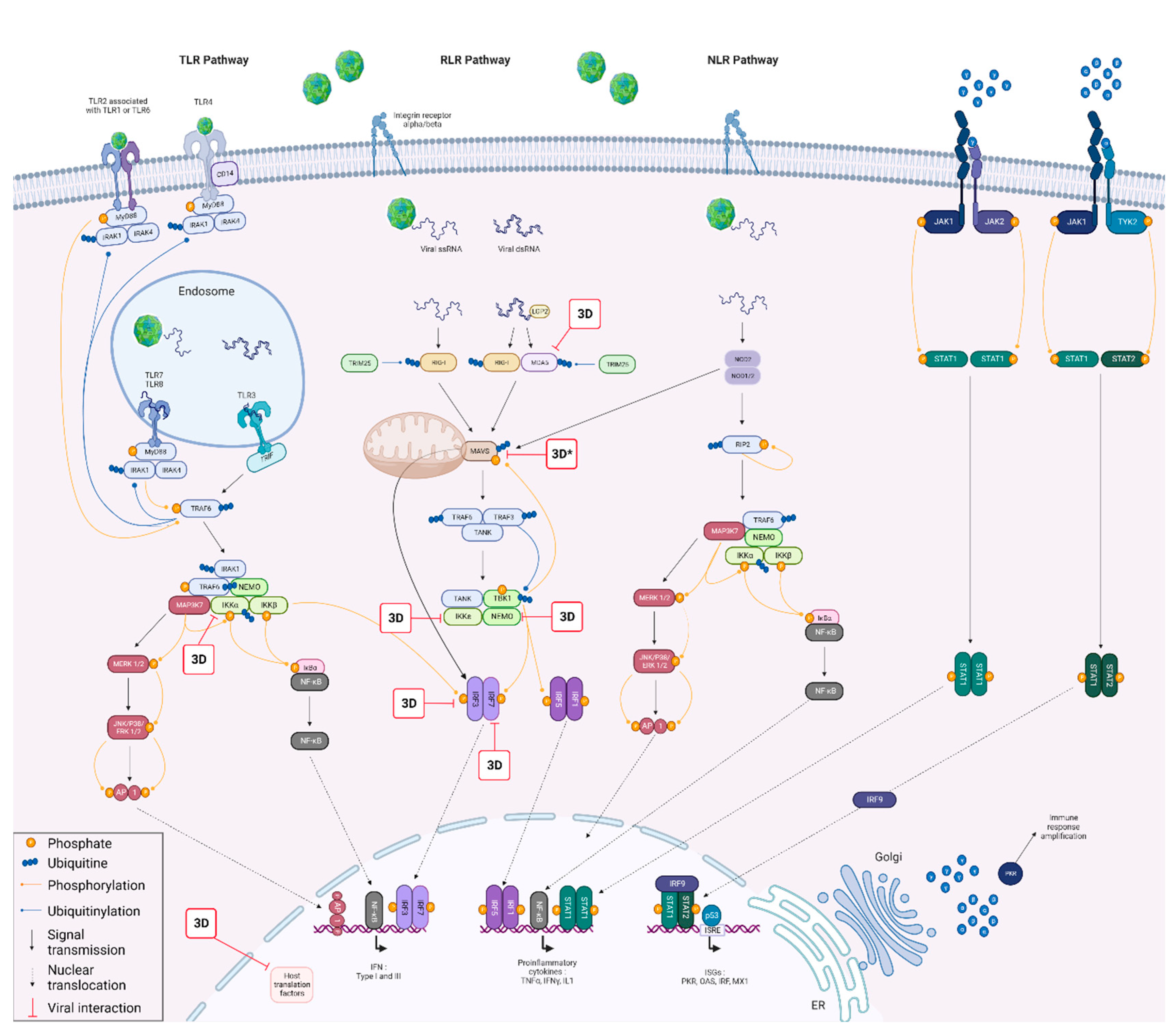 Viruses 15 00666 g010
