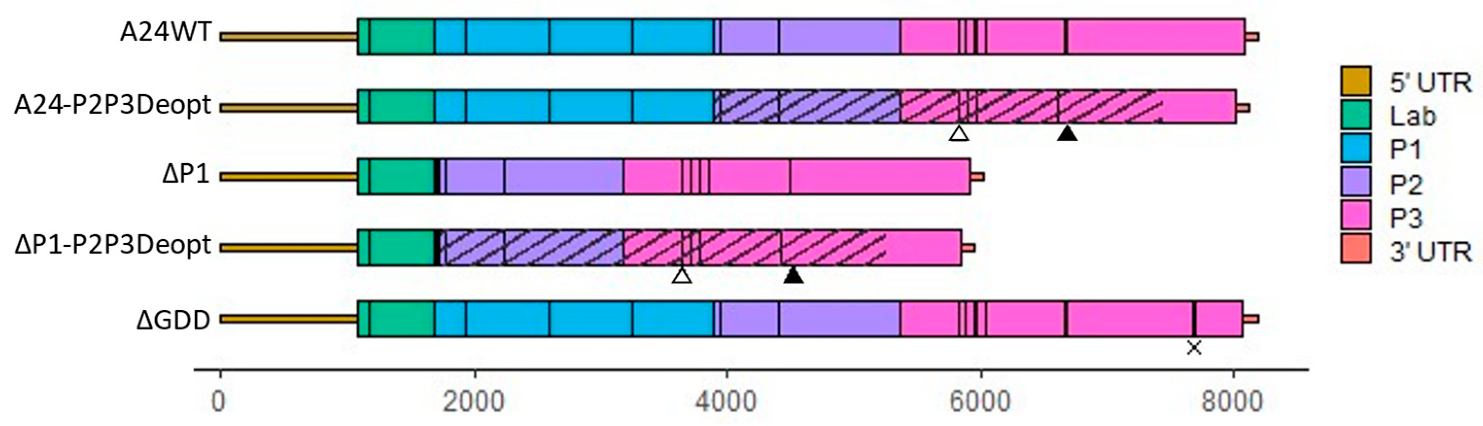 Viruses 15 00670 g001