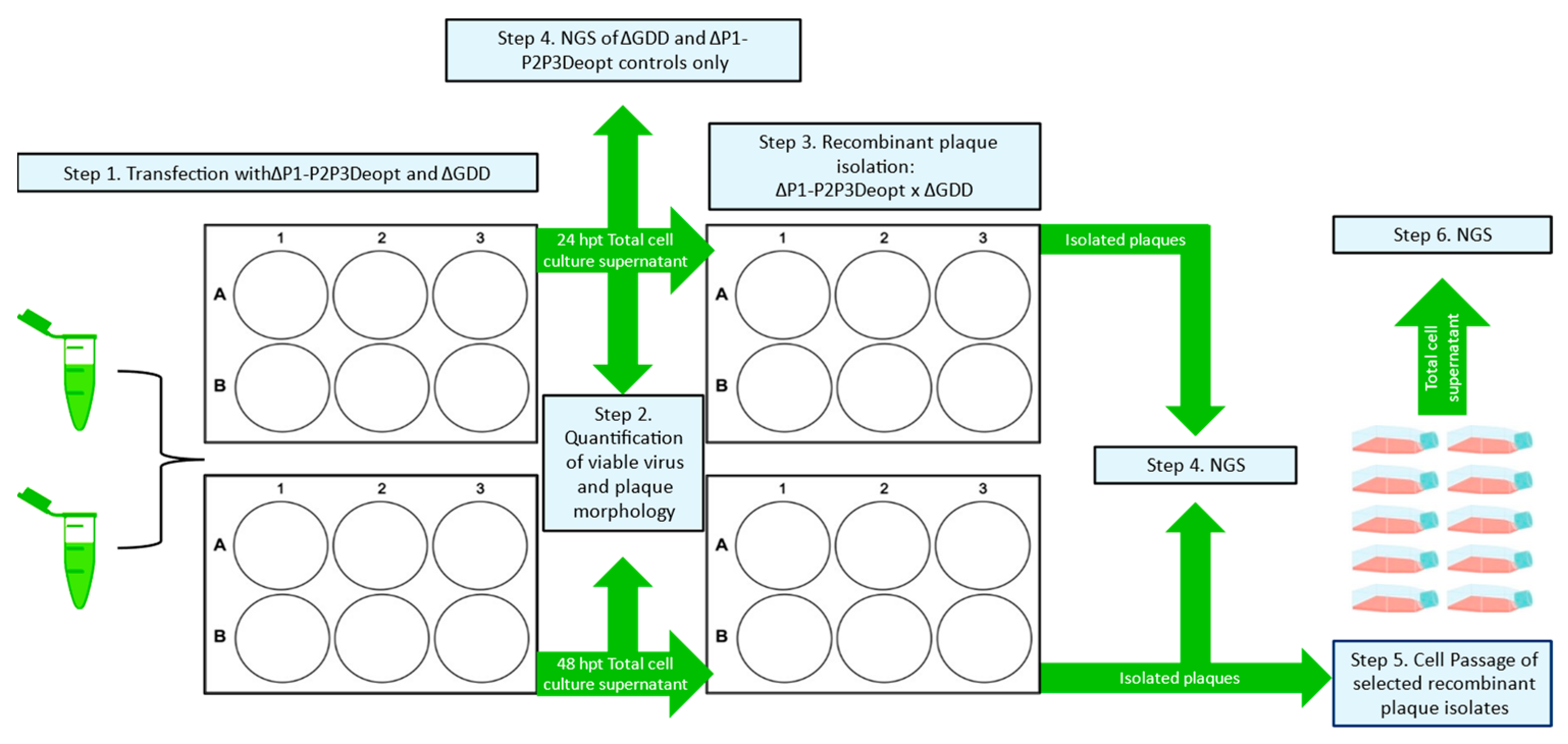 Viruses 15 00670 g003