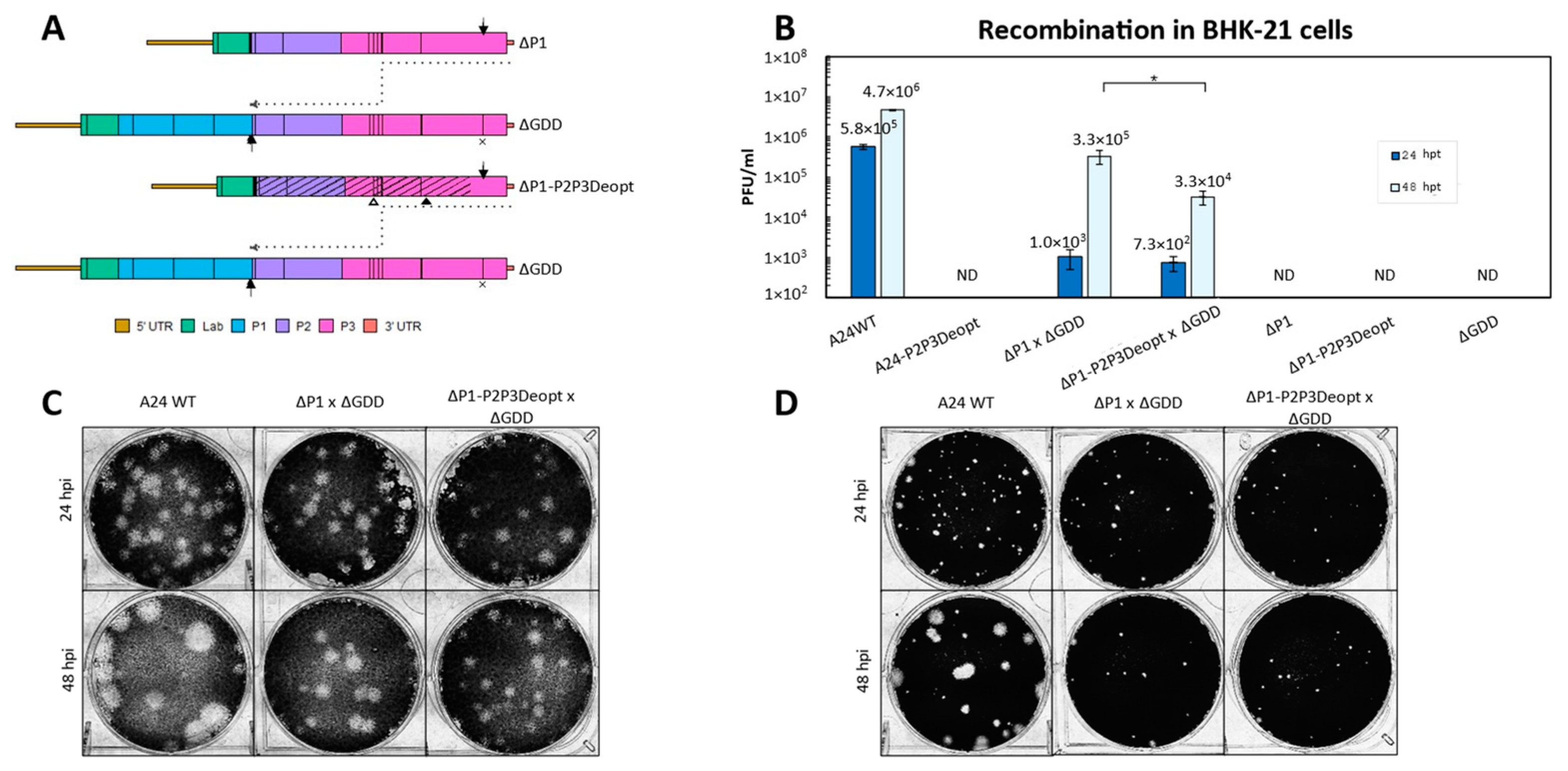 Viruses 15 00670 g004