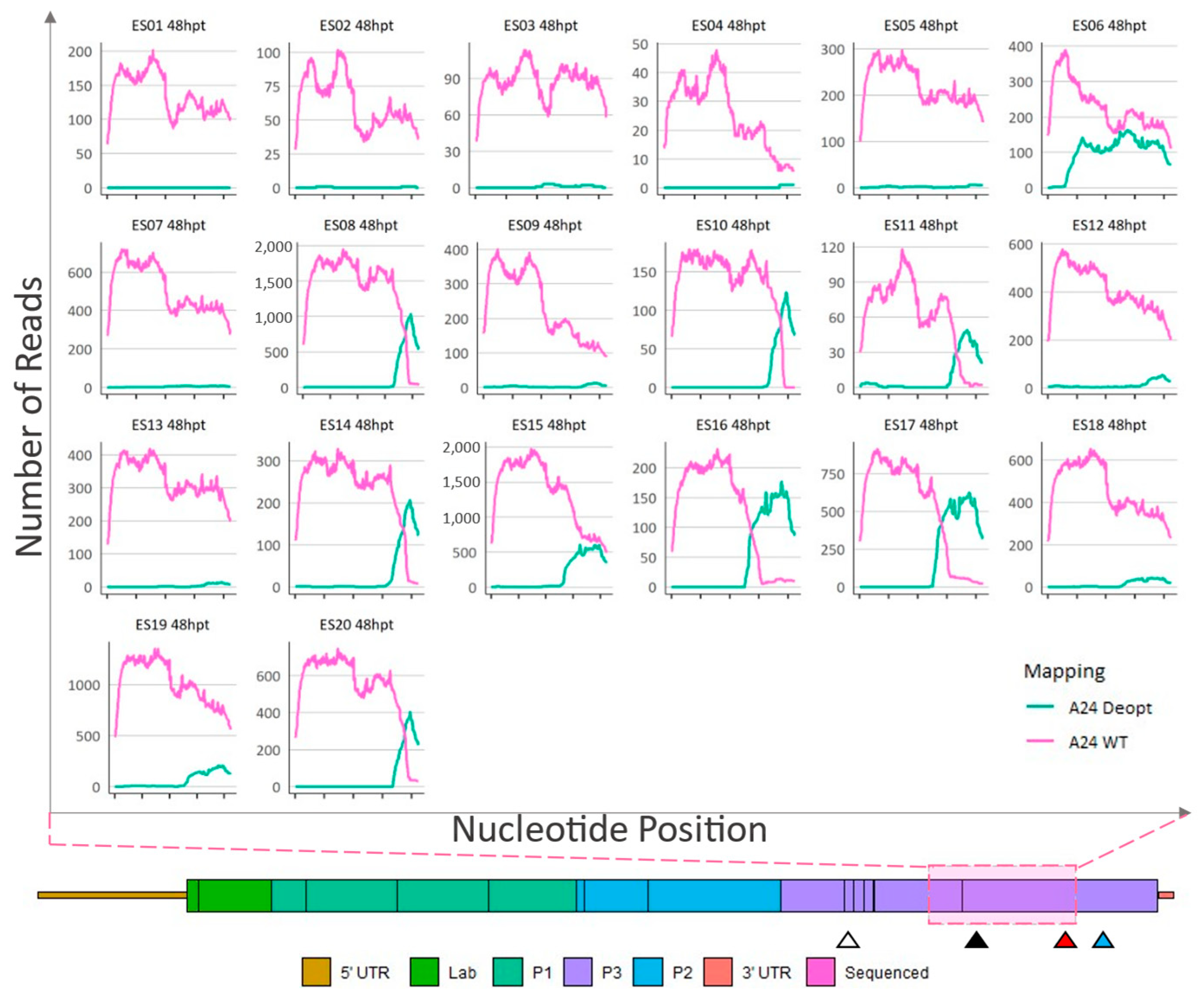 Viruses 15 00670 g006