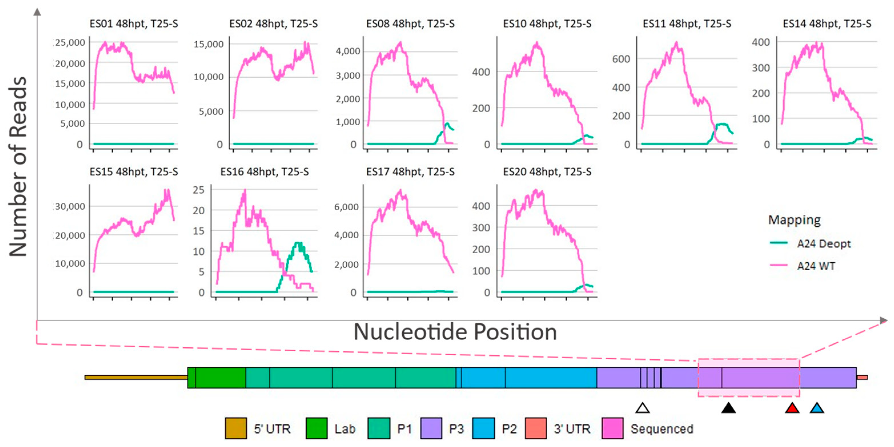 Viruses 15 00670 g007