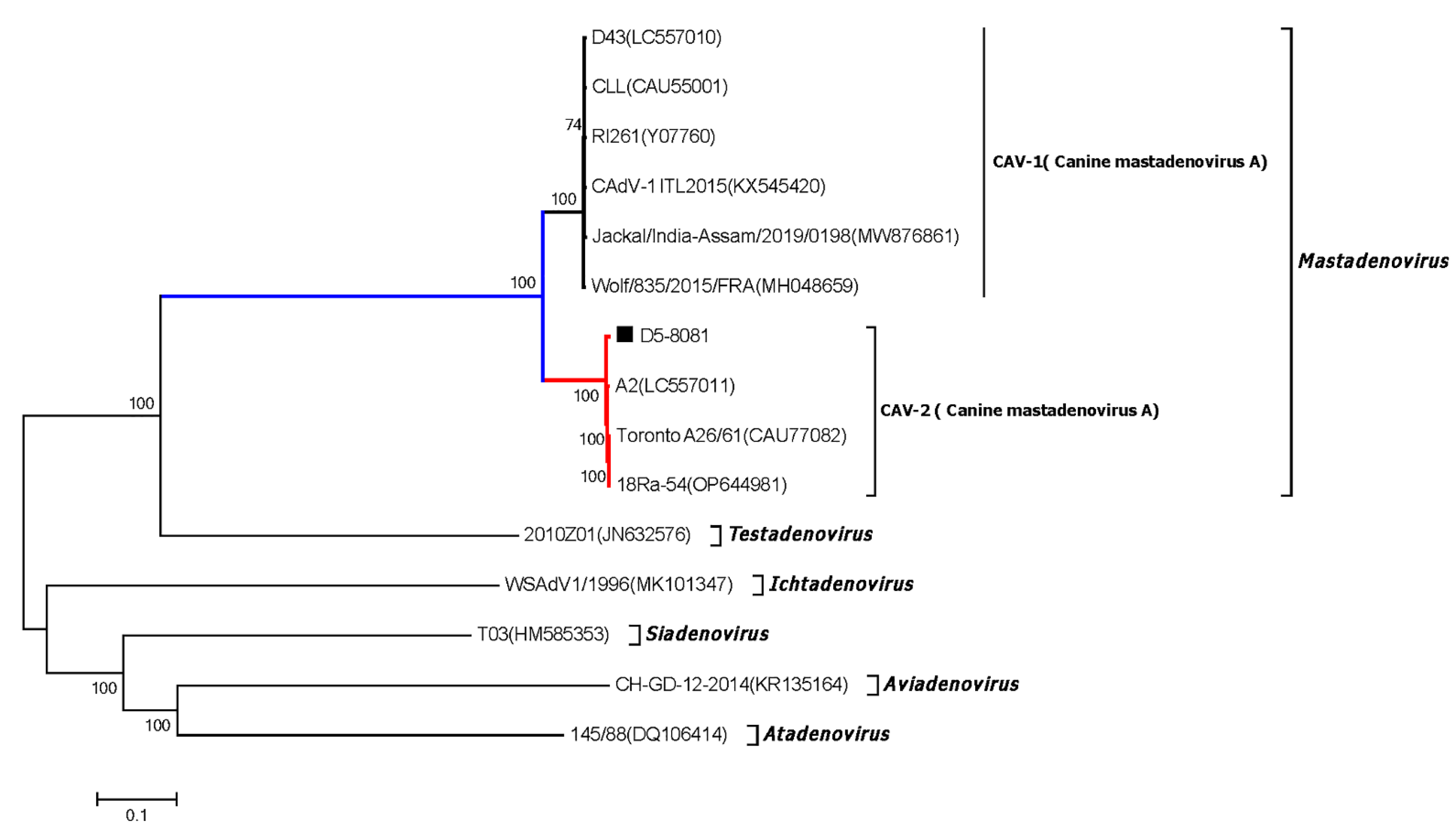Viruses 15 00685 g008