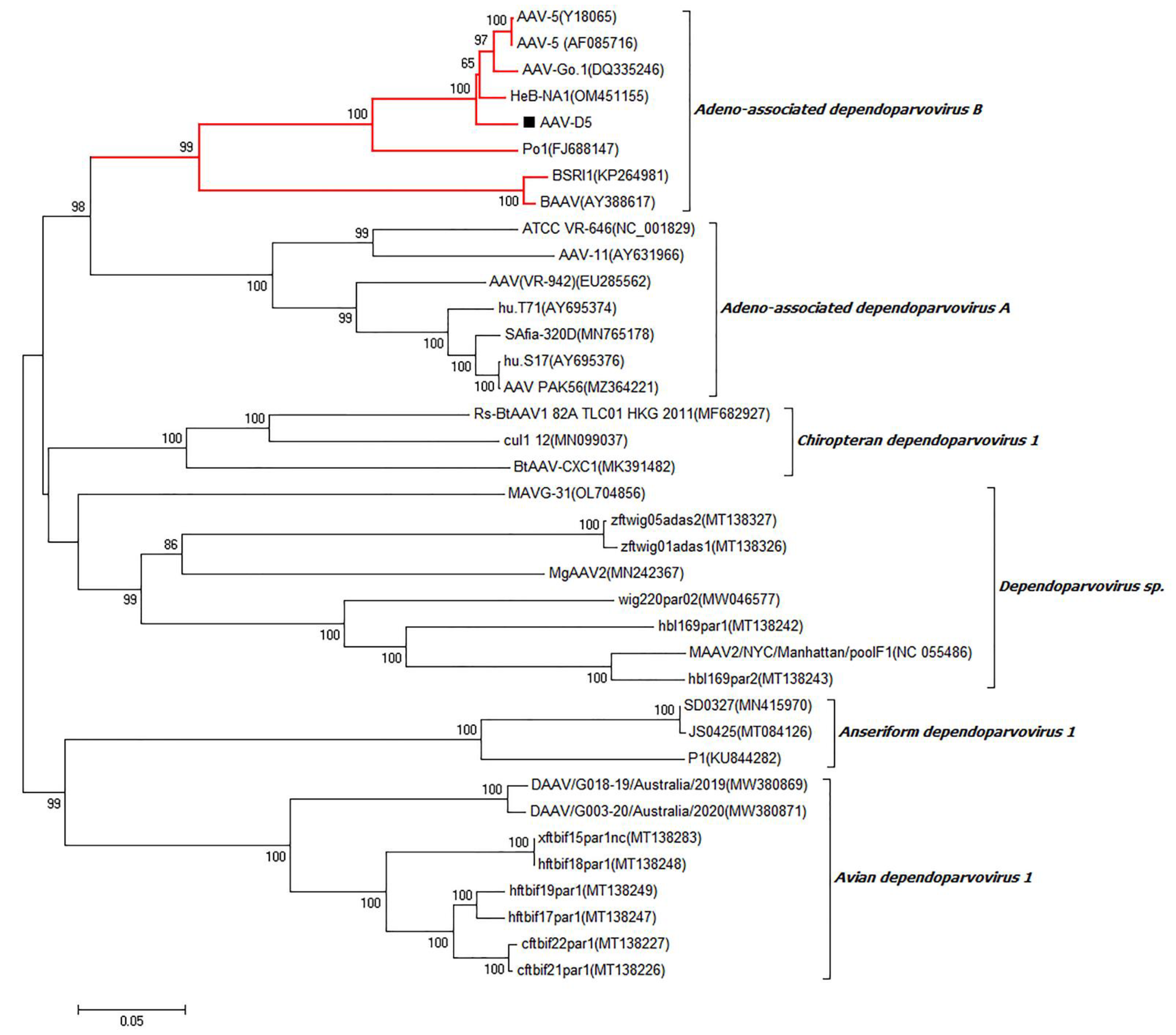 Viruses 15 00685 g009