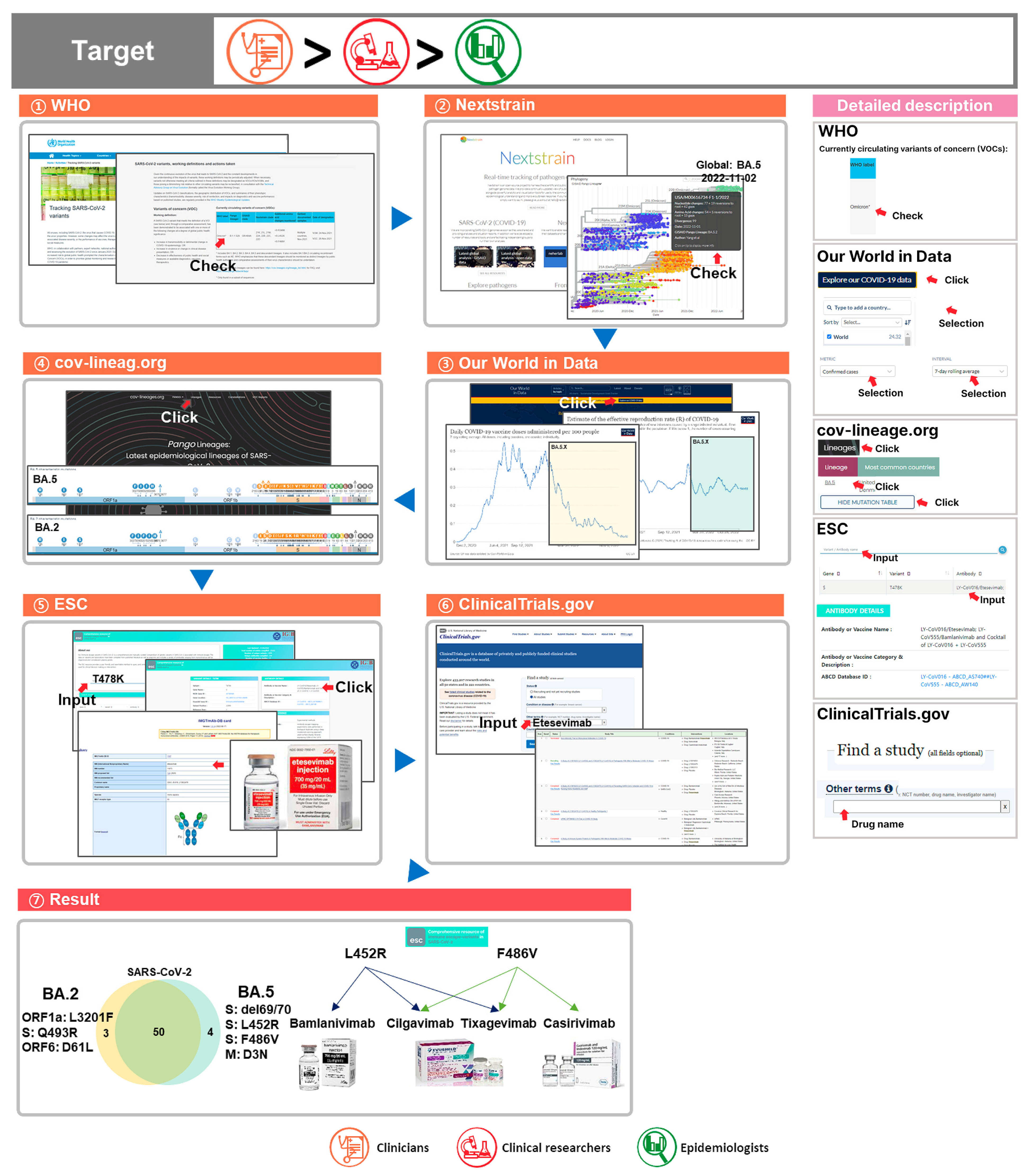 Viruses 15 00692 g004 Viruses 15 00692 g004